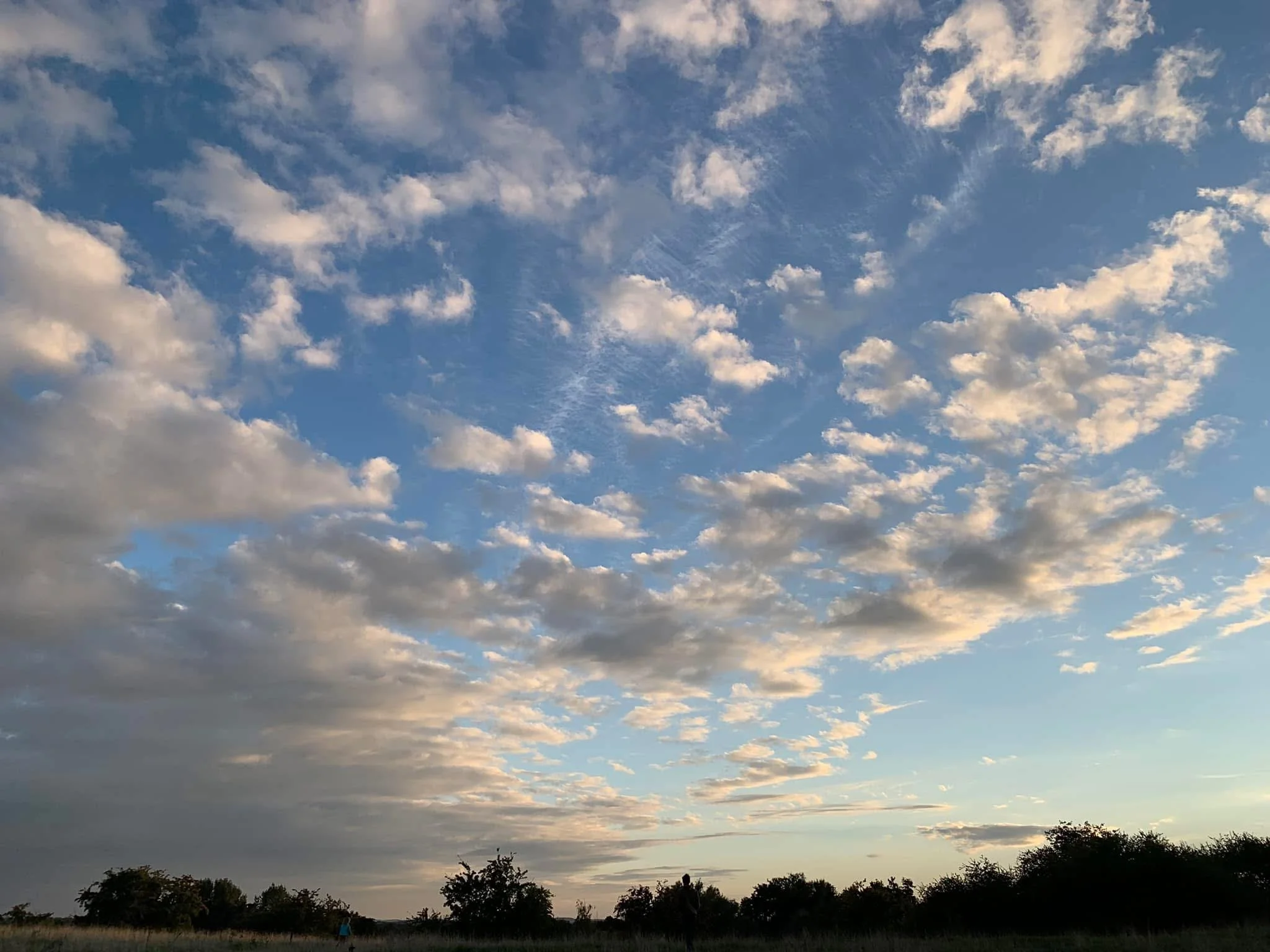 Travlt med at være travl…