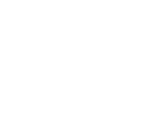 ZIP ZIP BANG