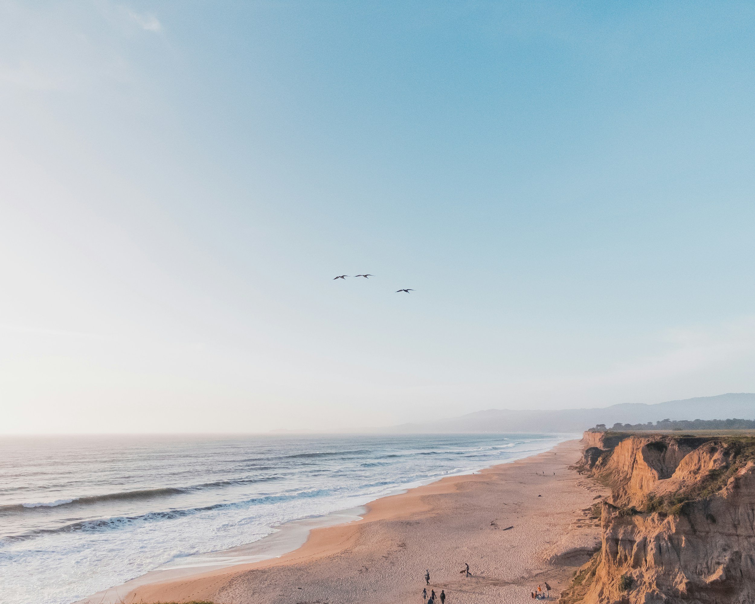 A beach with sand, ocean waves, and cliffs under a clear blue sky with three birds flying.