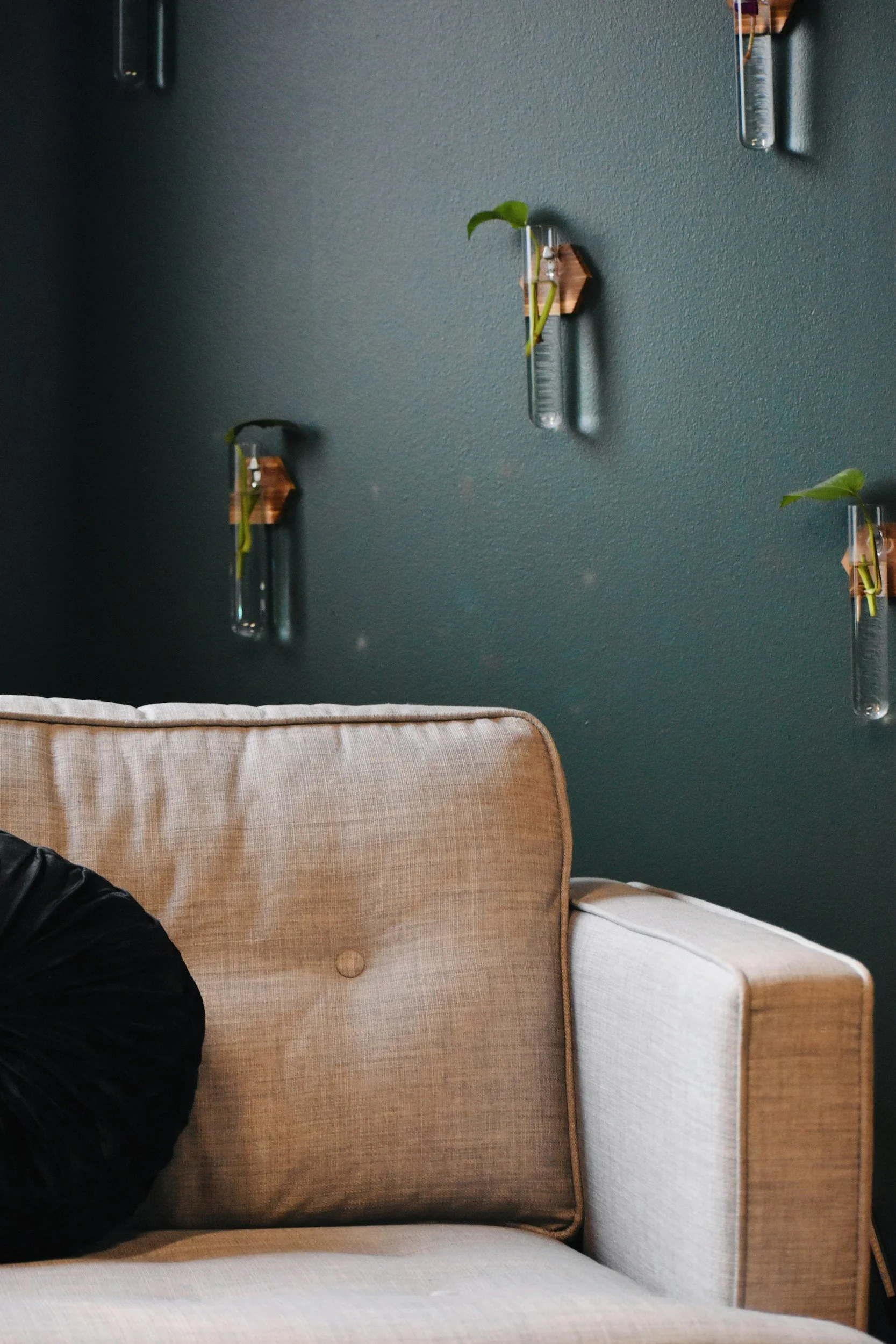 Part of a beige couch with a black pillow, against a dark green wall decorated with clear vases holding small green plants.