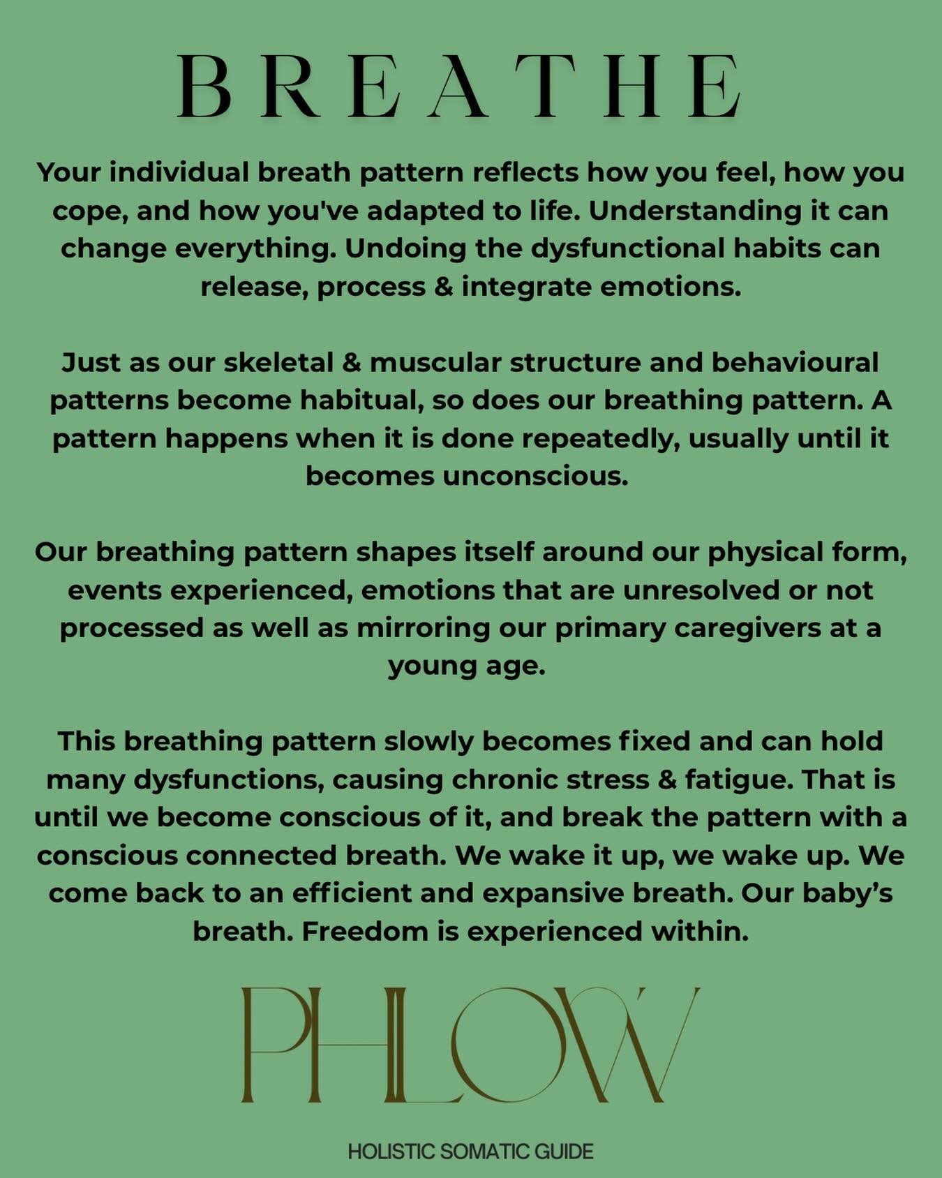 The breath is the way in, way through &amp; way out 🪞 #breathe #breathwork #consciousconnectedbreathing #breathworkcoach