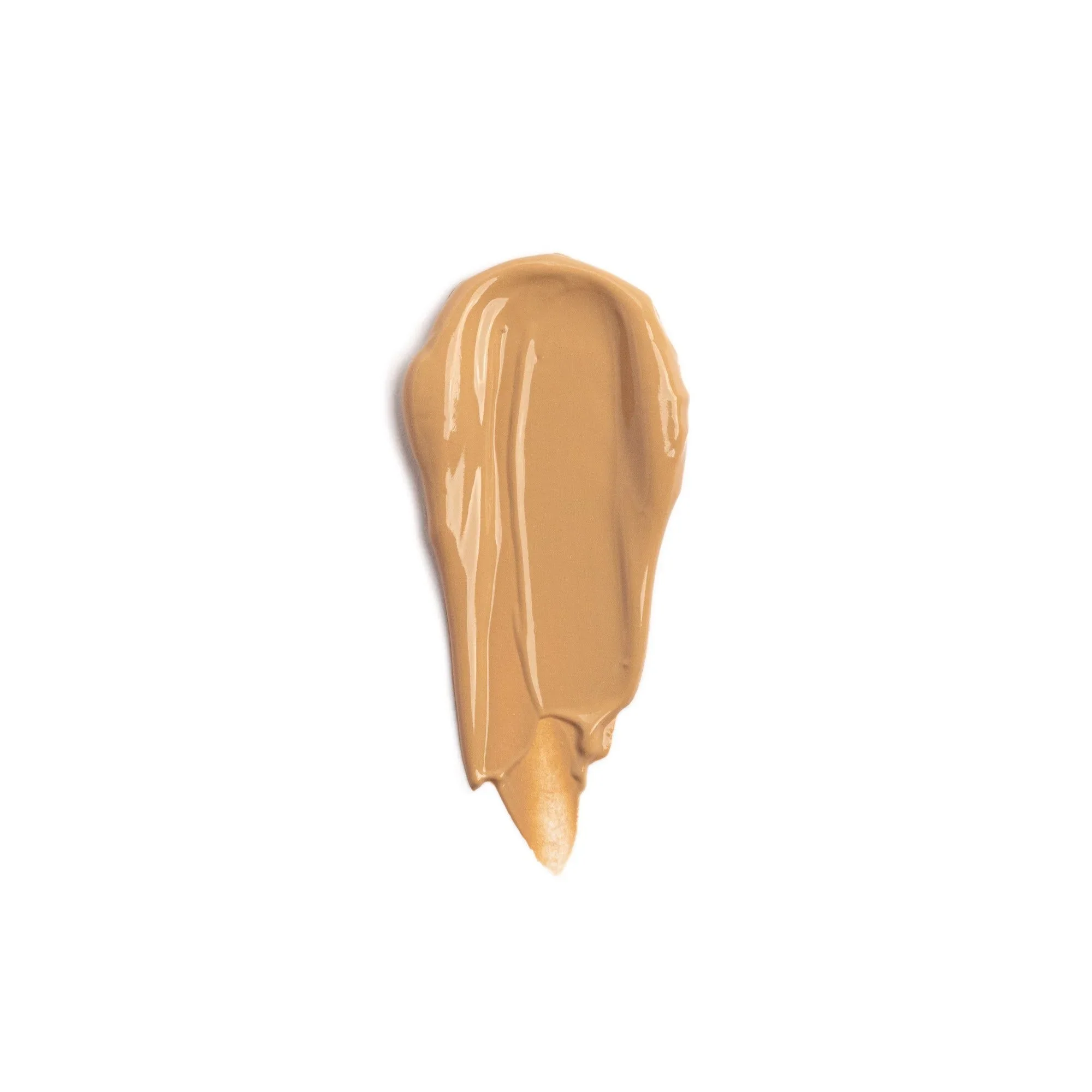 CCTM LIGHT SWATCH.webp