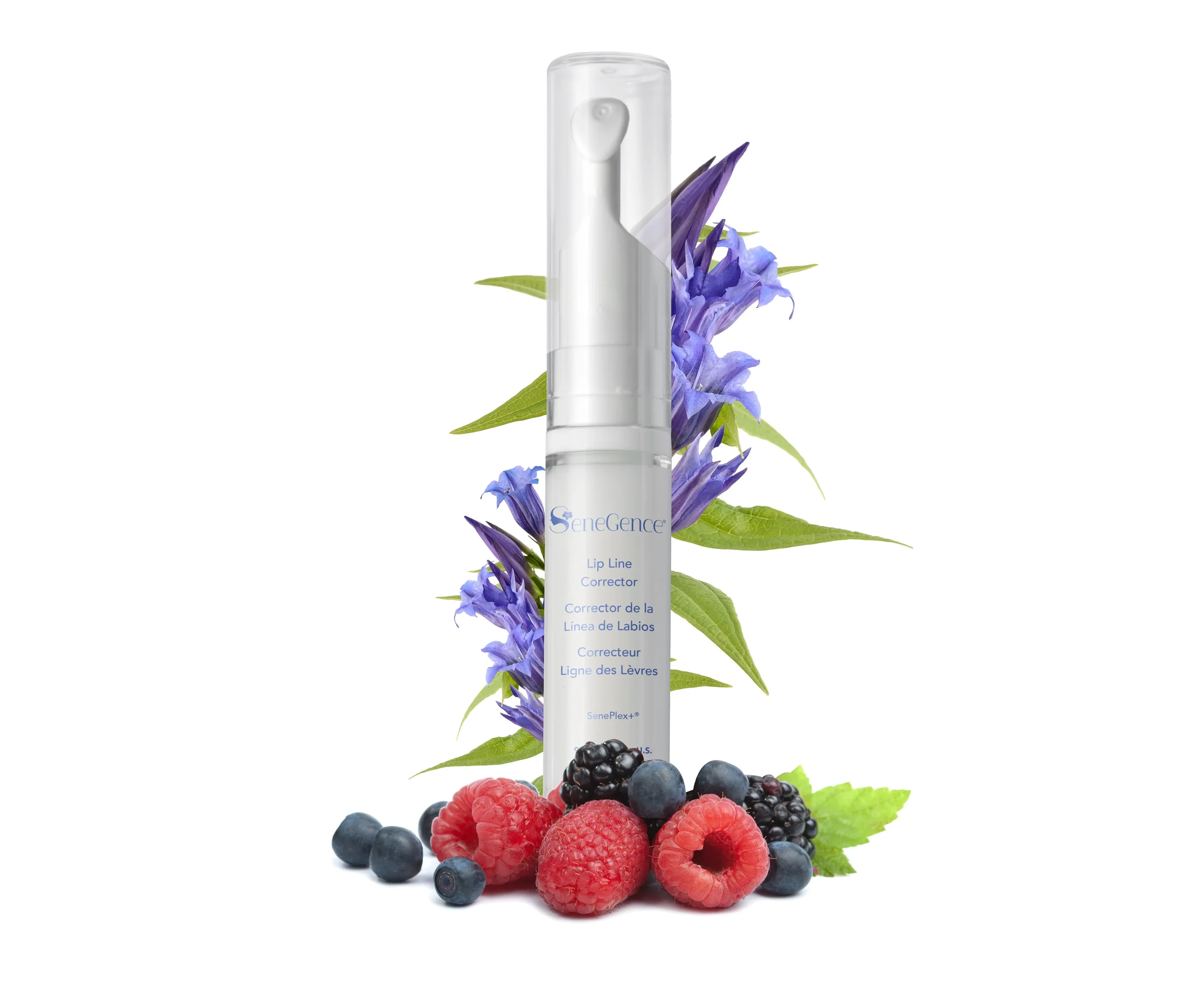 LIPLINE CORRECTOR.webp