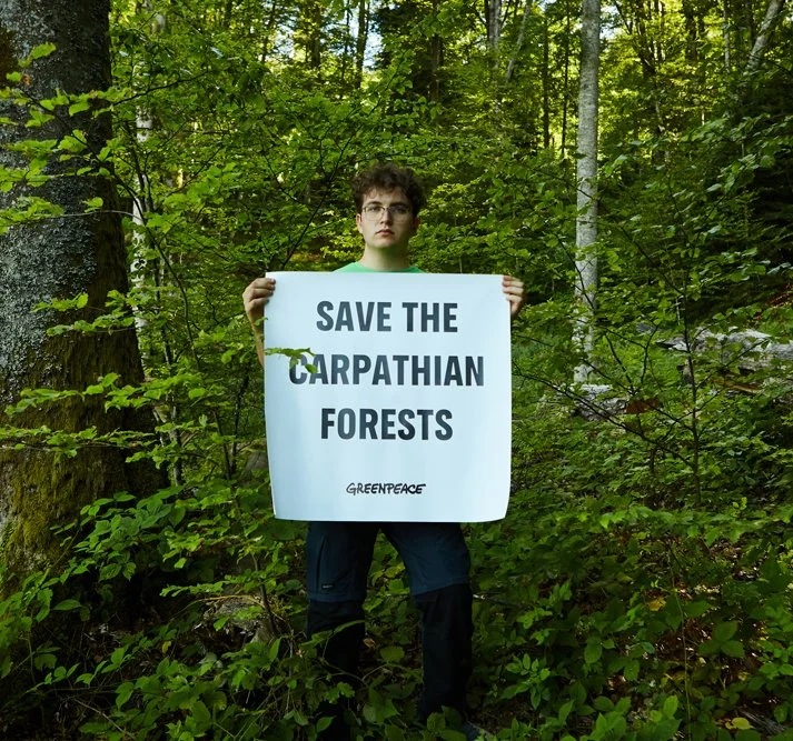 Junger Mann hält ein Schild mit der Botschaft "Save the Carpathian Forests" und Greenpeace-Logo in einem grünen, bewachsenen Wald.