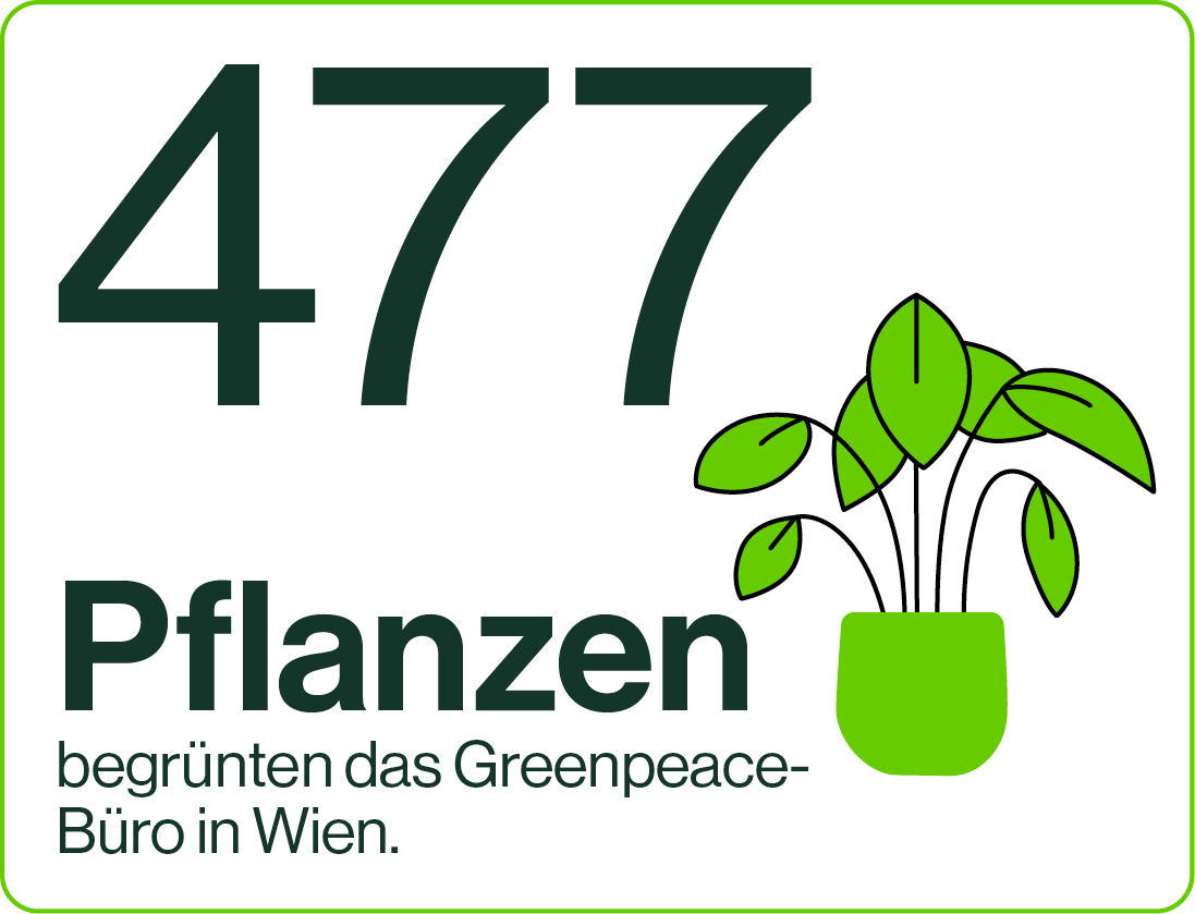 Ein grünes Logo mit der Zahl 477, daneben ein grüner Topf mit einer Pflanze. Text: '477 Pflanzen begrünen das Greenpeace-Büro in Wien.'