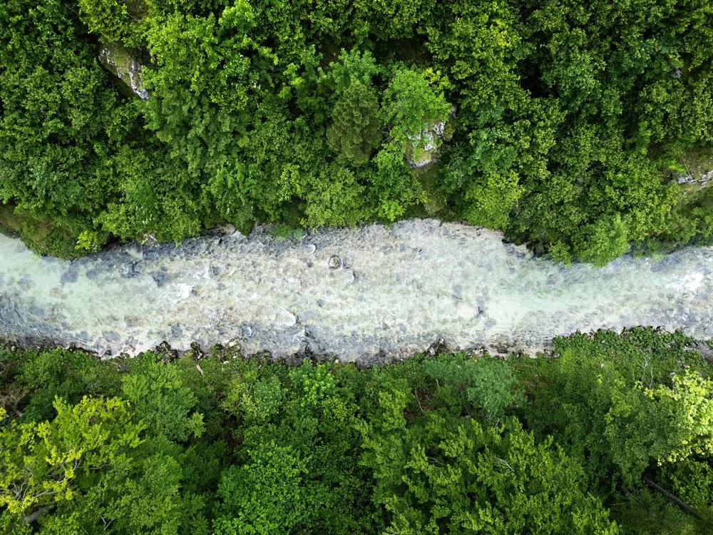 Vogelperspektive auf einen schmalen Fluss, der durch einen dichten, grünen Wald fließt.