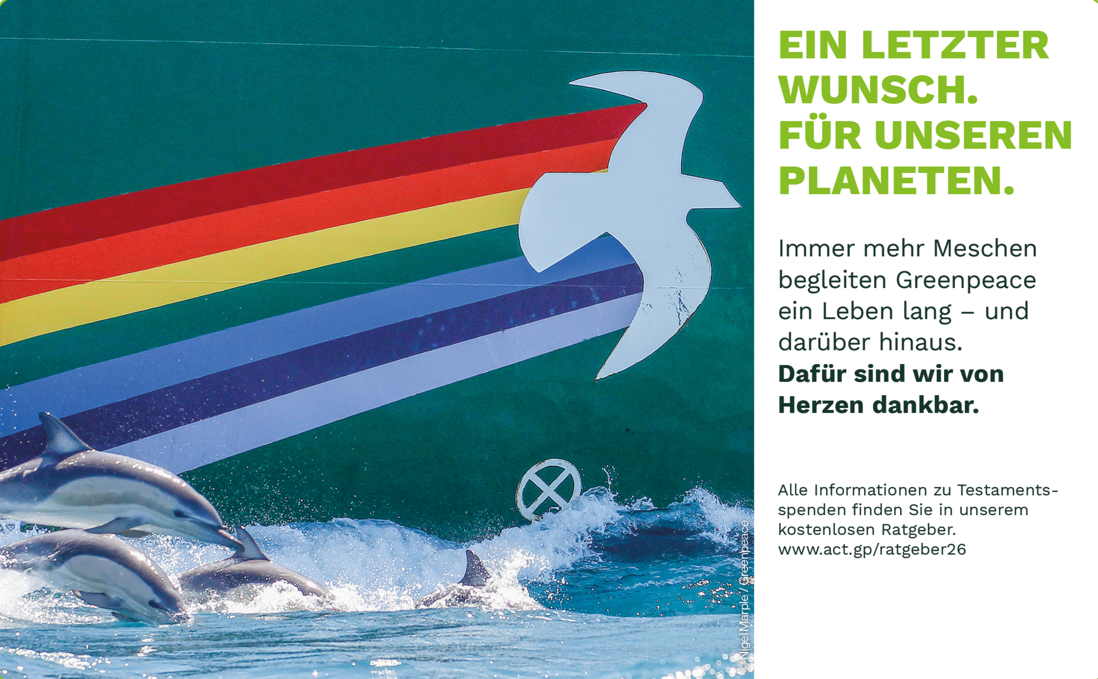 Eine Greenpeace-Werbefläche mit einem Delfin, Wasser und einem plakatähnlichen Element, das einen Delfin zeigt, sowie grünen Text, der für den Umweltschutz wirbt.