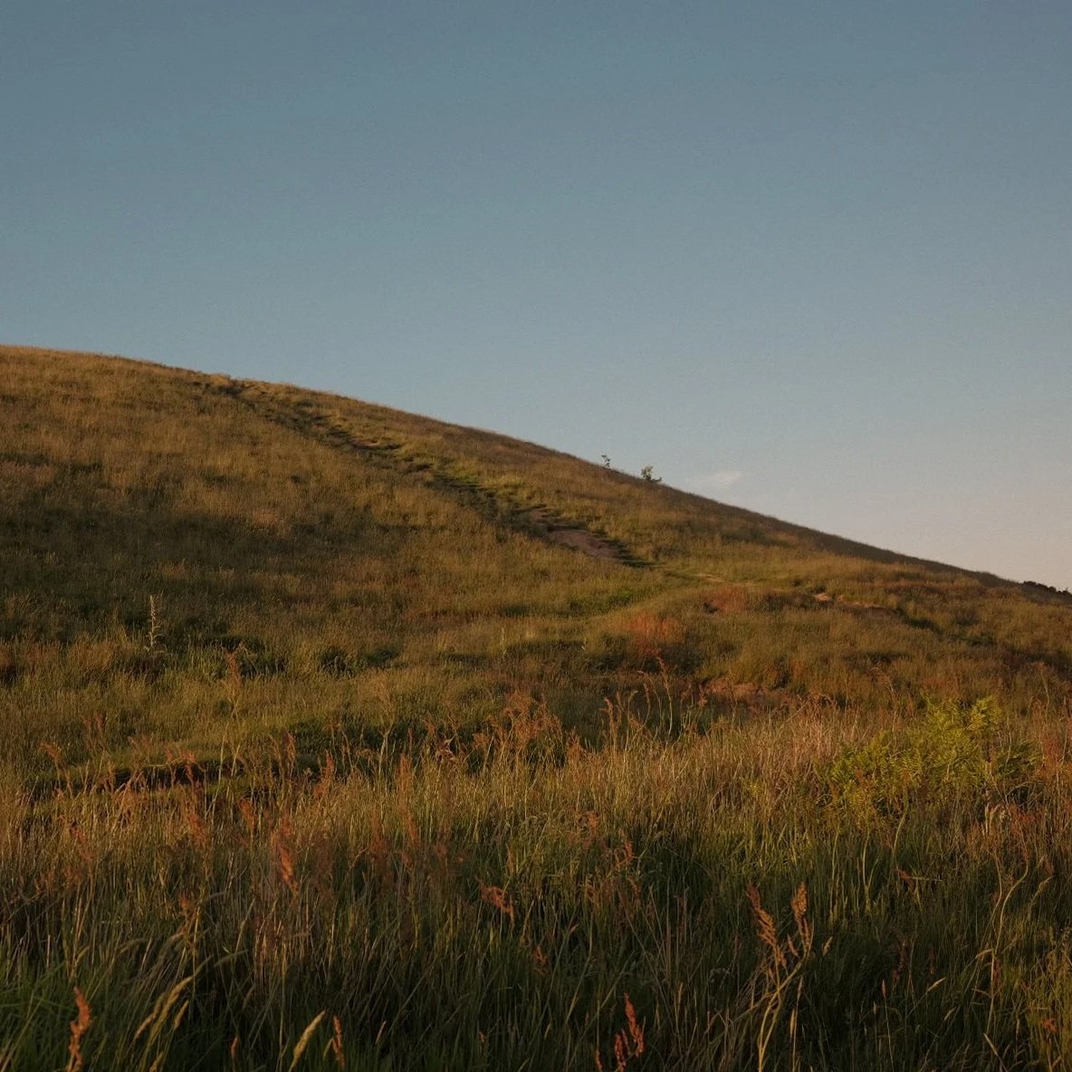 DSCF6974.jpg