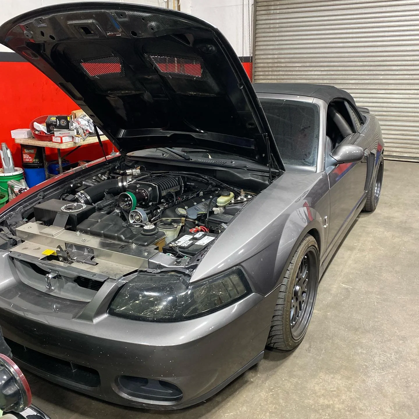 What an absolute pleasure to work on this beauty of a car, whippled cobra in for a twin disk clutch an rear end service along with a boost gauge an afr gauge