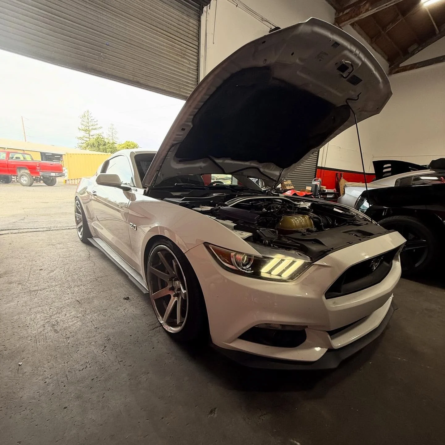 6speed manual mustang 5.0 in for long tube headers an custom 91 octane tune💪🏽