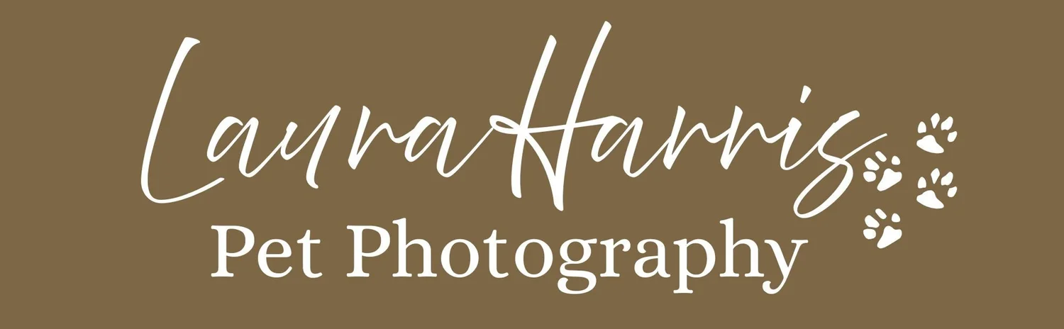 Laura Harris Pet Photography