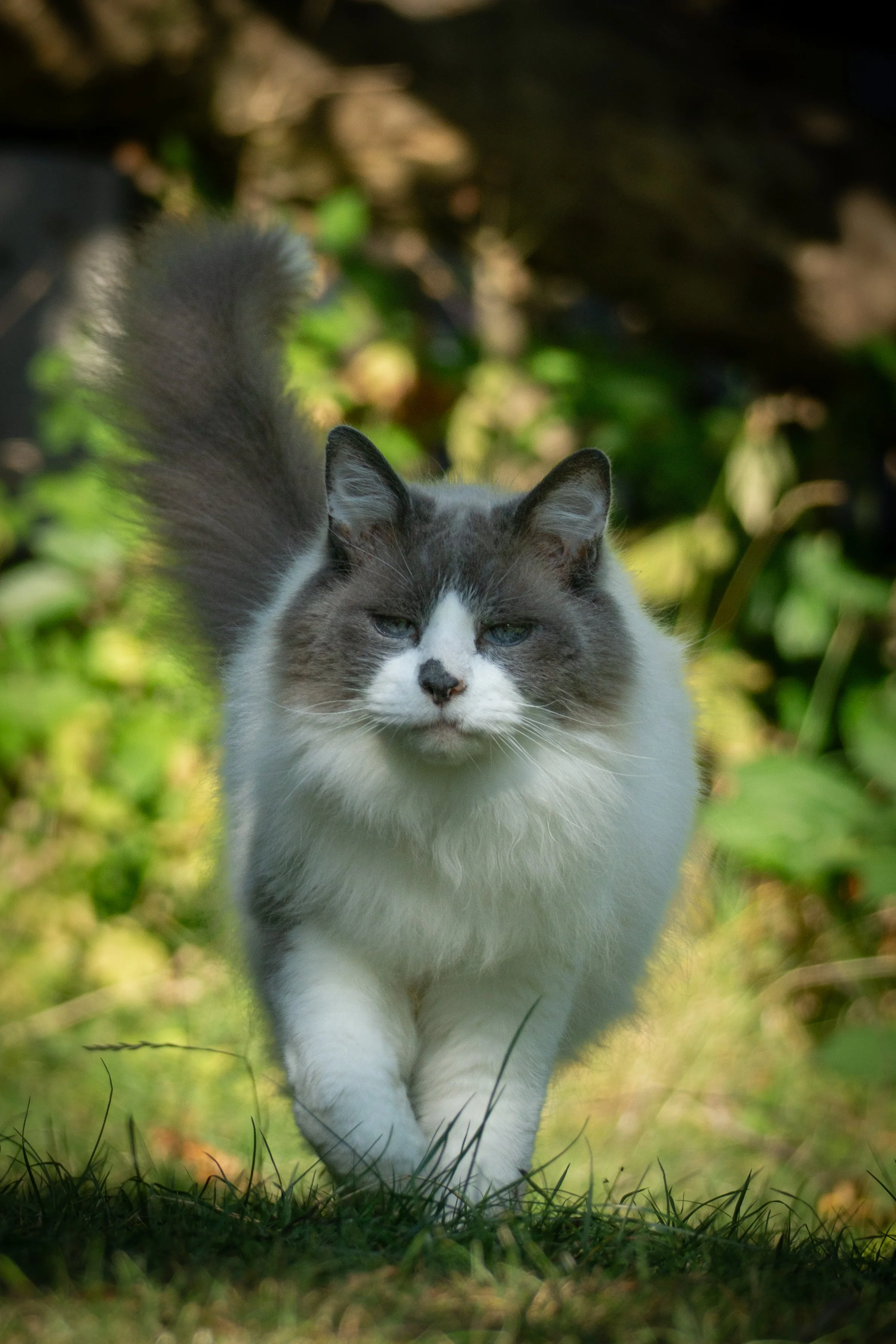 DSC01092-4.jpg