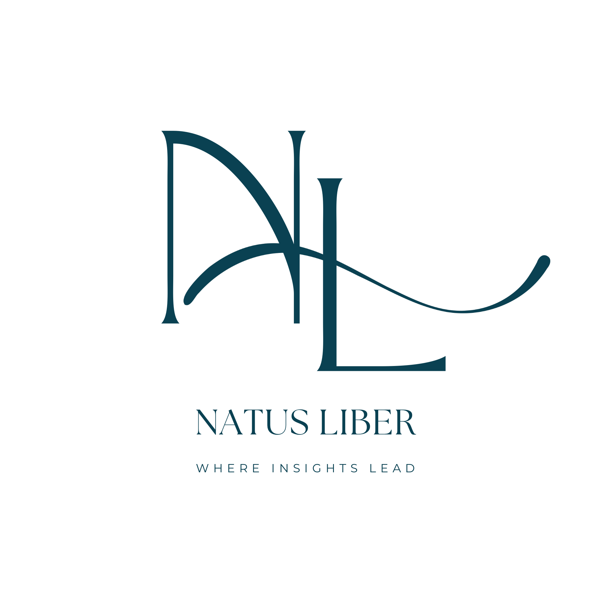Logo with stylized initials 'NL' and the words 'Natus Liber' underneath, along with the tagline 'Where Insights Lead'.