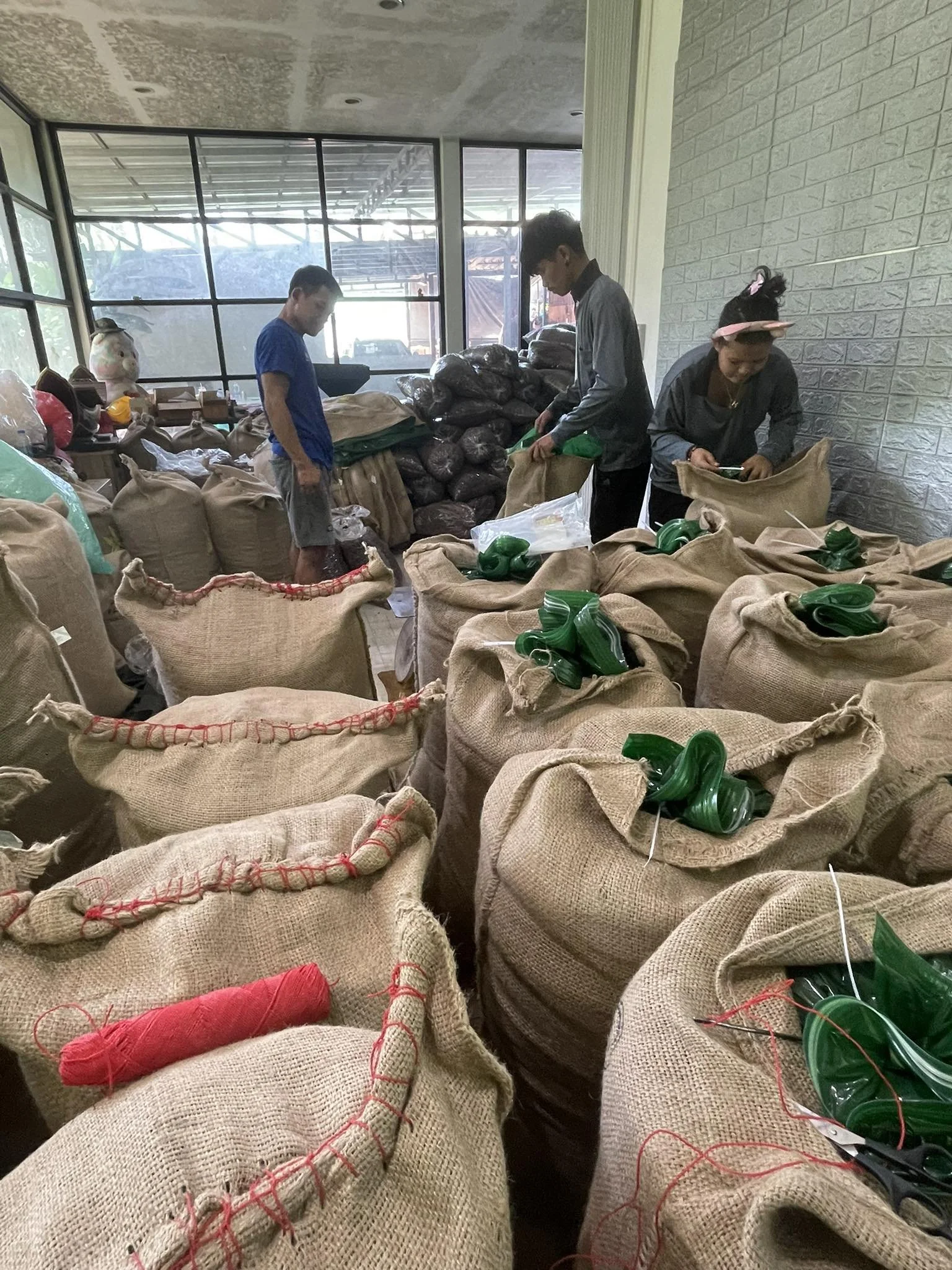 50 KG Chanthaburi Dried Cacao
