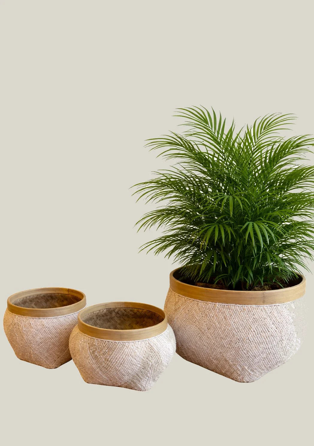 Beaded Planter Baskets