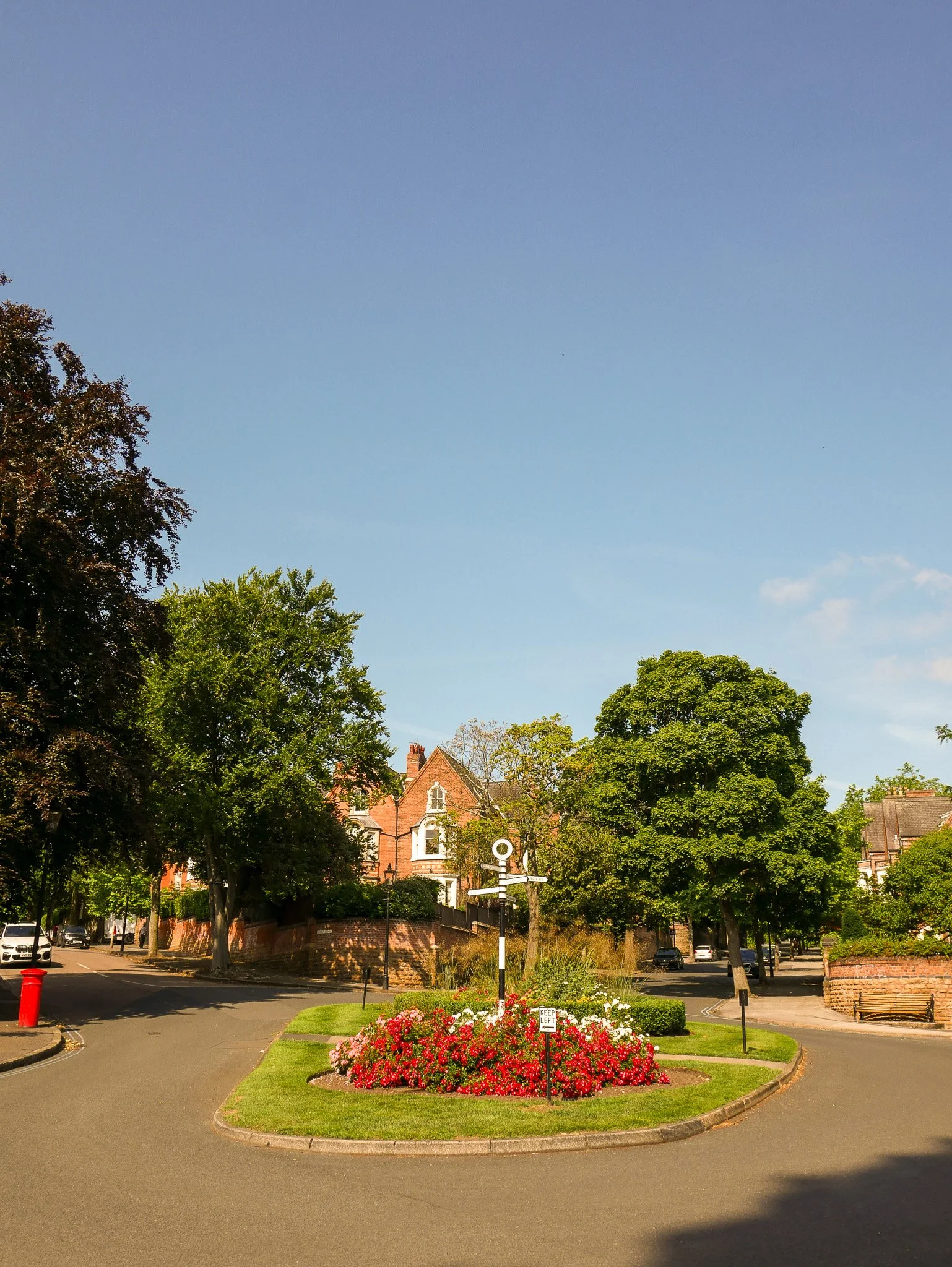 Quiet residential street with trees, flowers, and clear blue sky