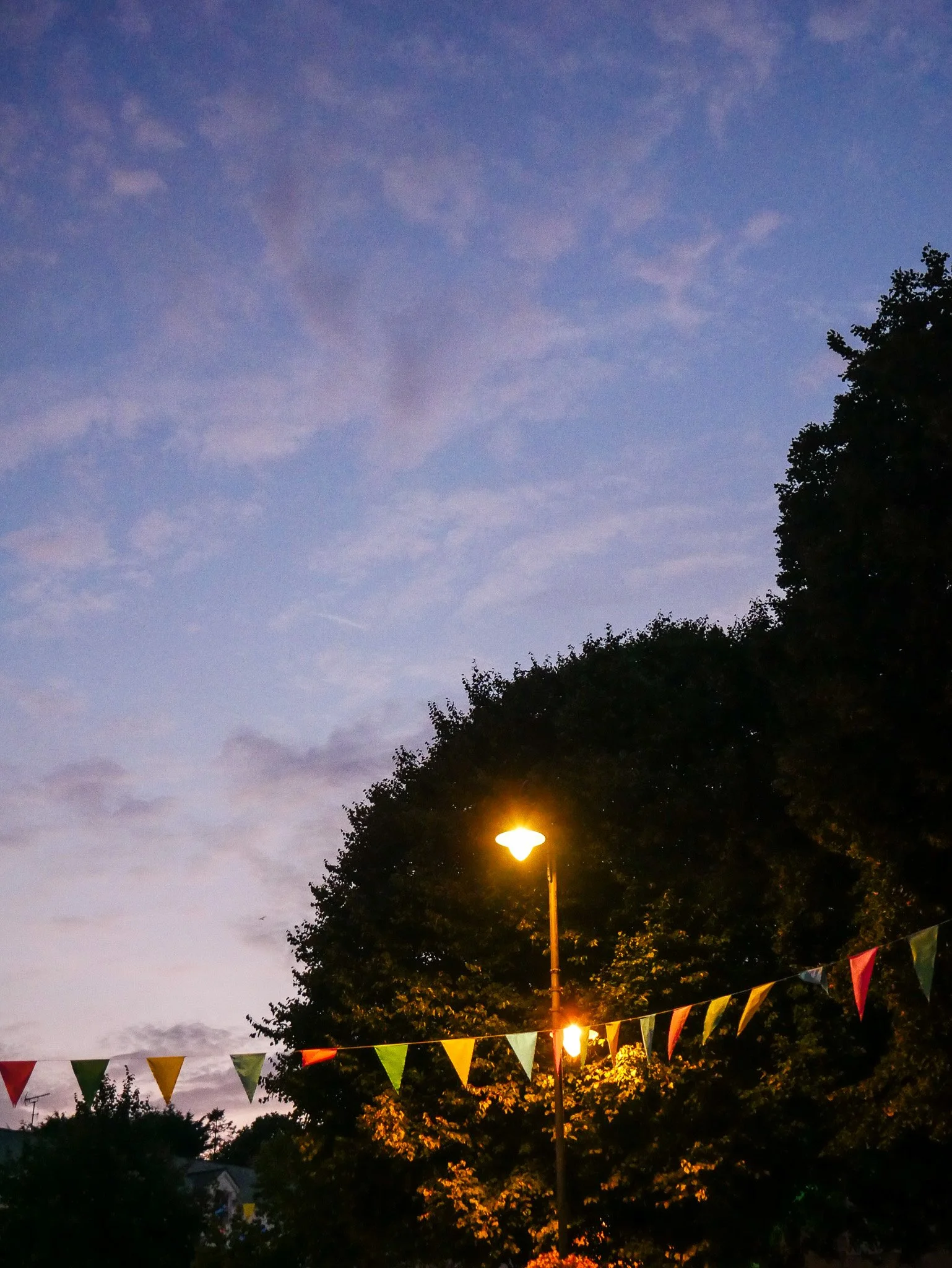 Streetlight illuminating bunting at dusk beneath a soft evening sky
