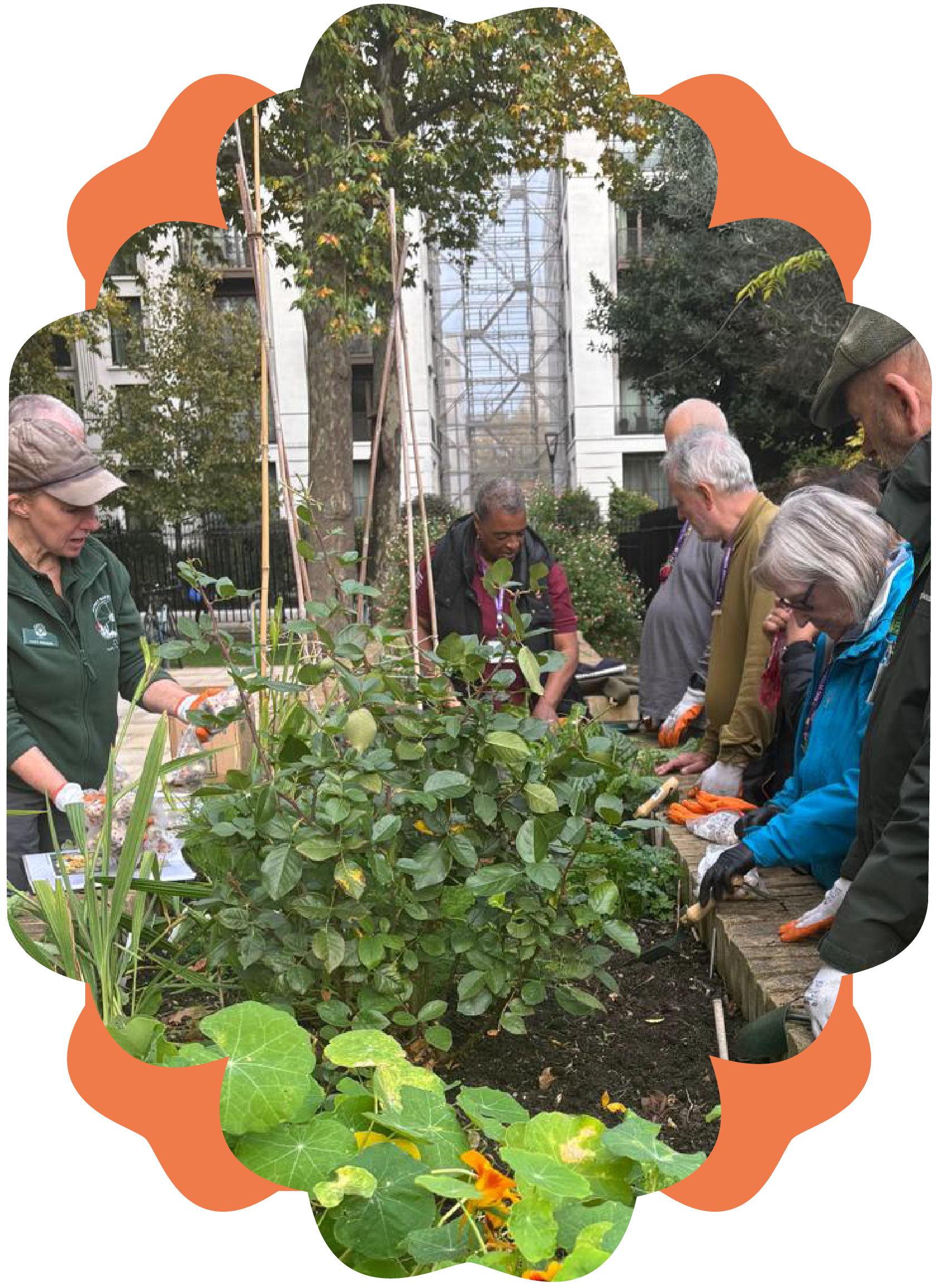Group of people working together planting or gardening in an outdoor urban setting, with trees and buildings in the background.