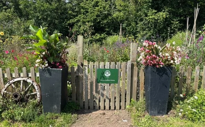 Two large black planters with colorful flowers, a lush green plant on the left, situated on either side of a small garden gate, with a wooden fence and a garden with various flowers and plants in the background.