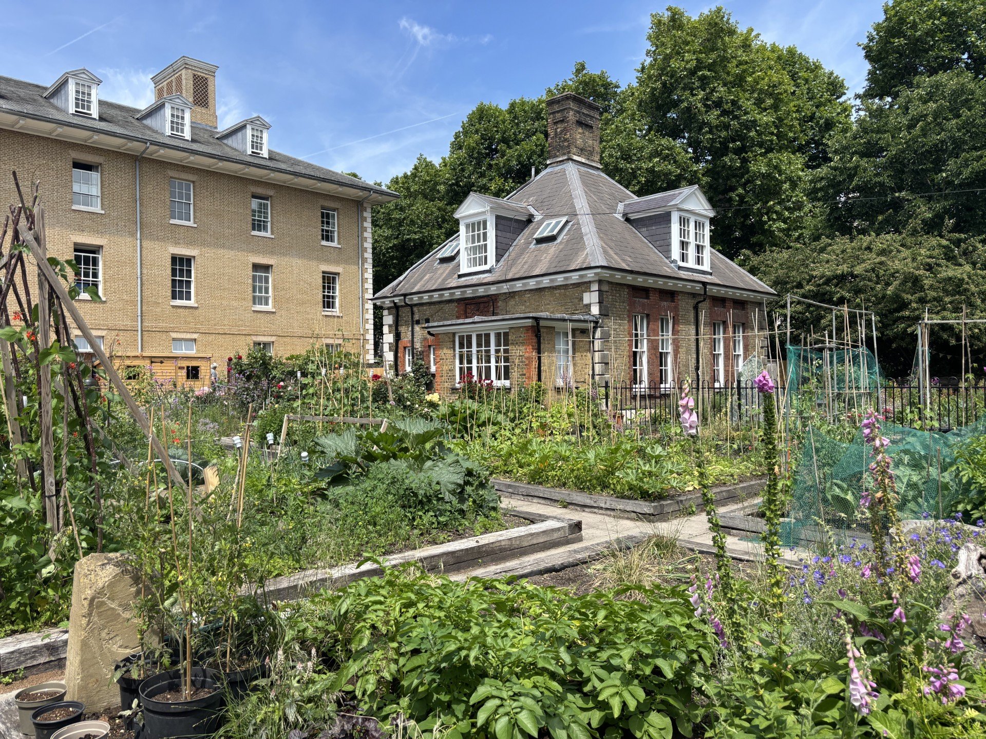 A lush garden with plants and flowers, two wooden pathways, and a small brick house with a steep roof and dormer windows, surrounded by greenery and tall trees under a blue sky.