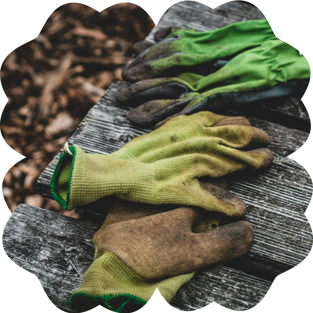 A pair of dirty gardening gloves and a pair of work gloves laid out on a weathered wooden surface.