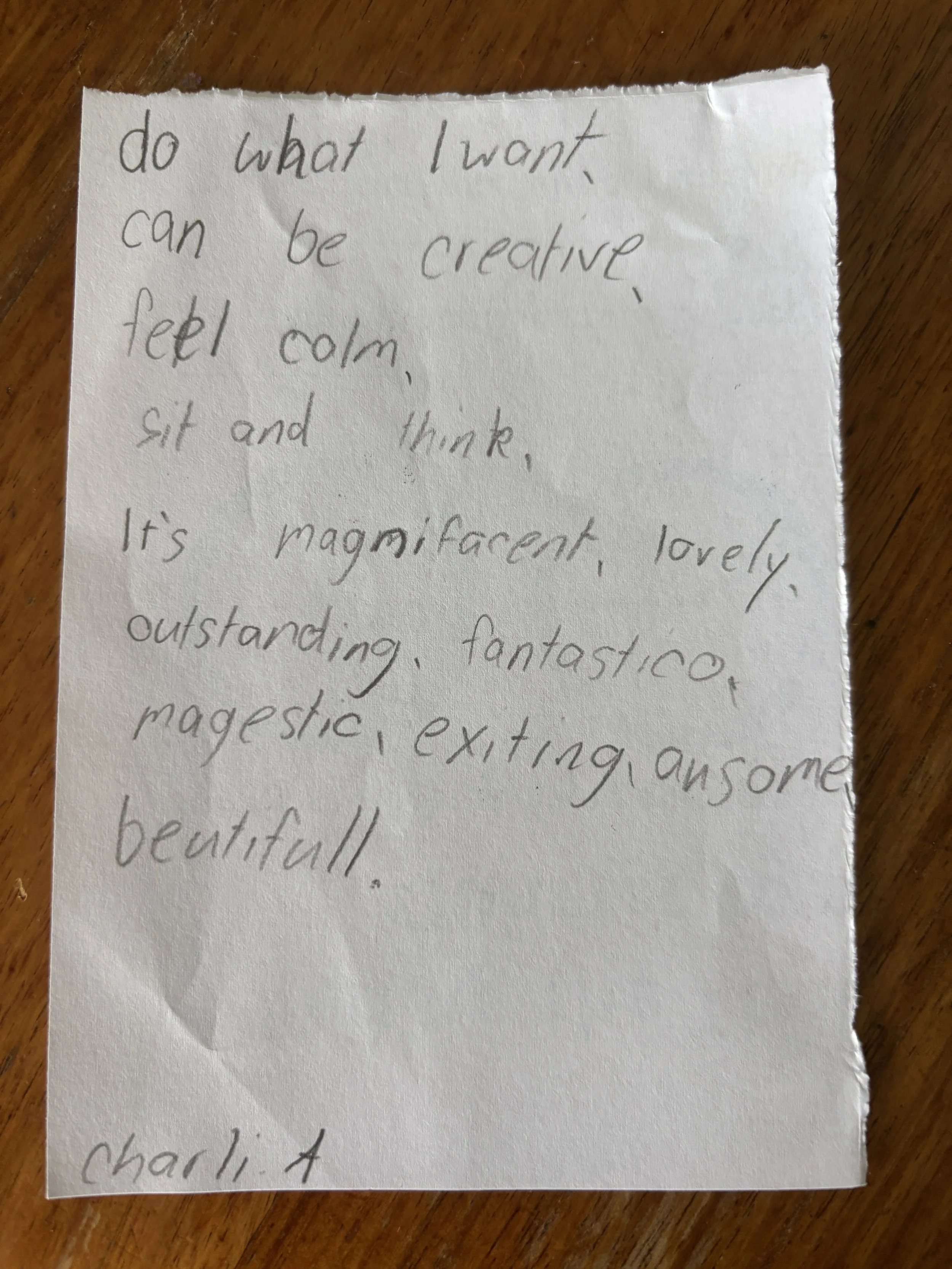 A handwritten note on a torn piece of paper with a positive message, signed by Charl A, placed on a wooden surface.