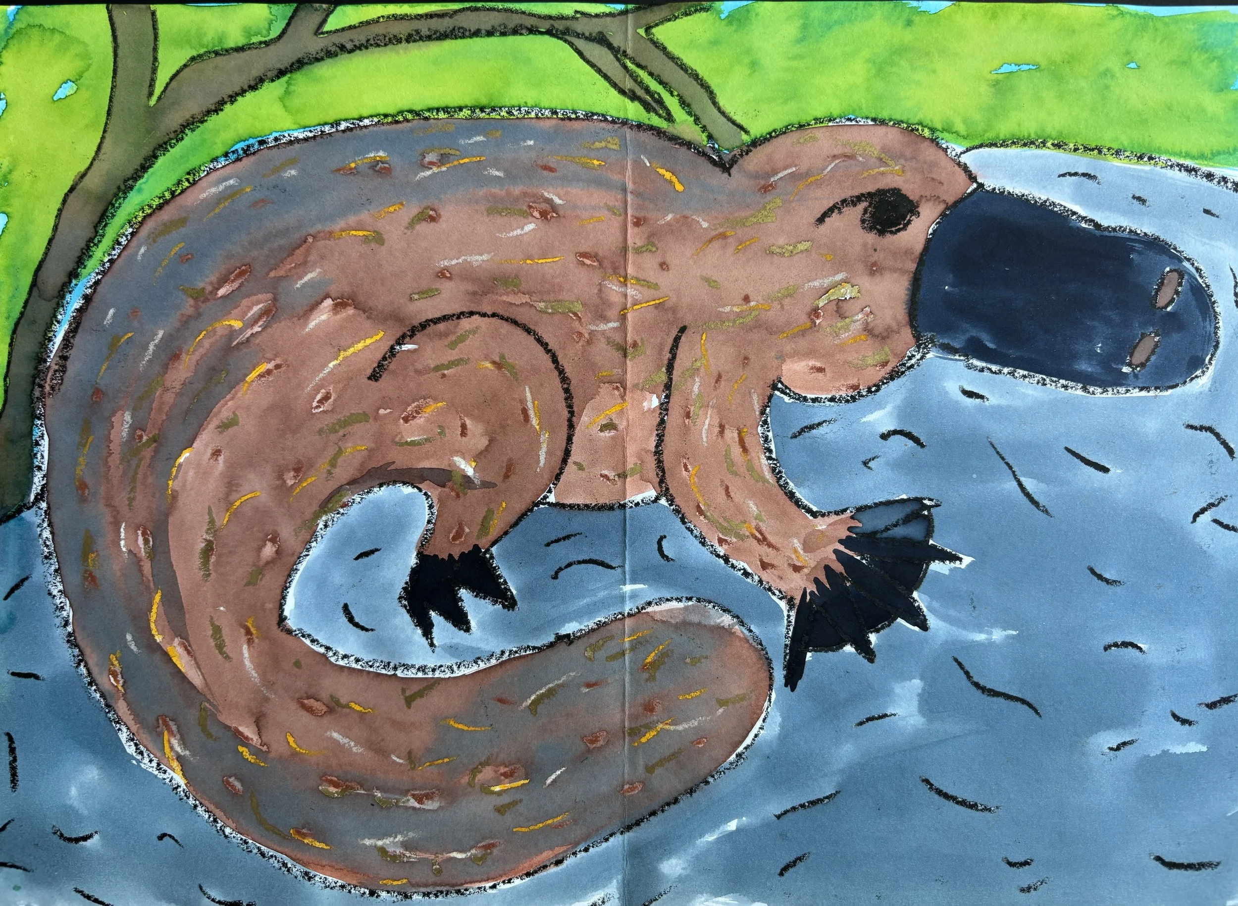 A colorful drawing of a beaver with a large flat tail, holding a fish in a pond, surrounded by green grass and a tree.