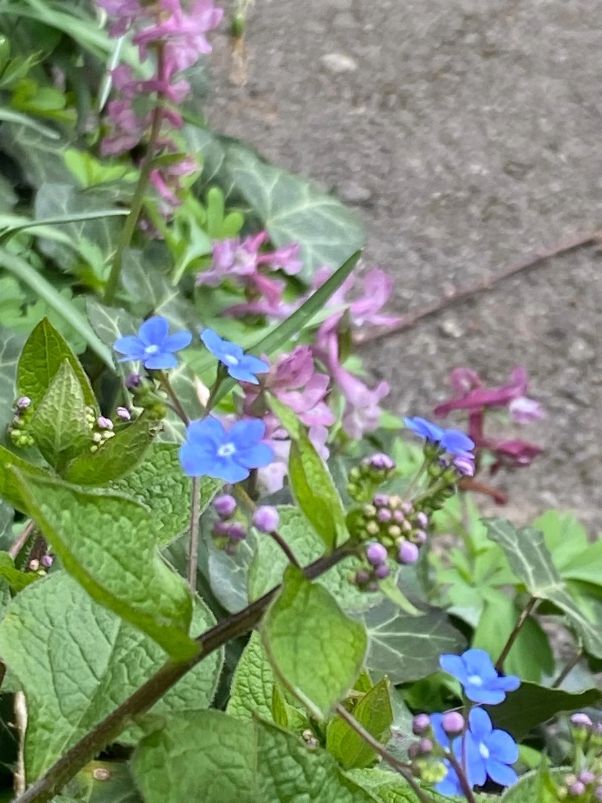 PHOTO-2026-03-20-09-28-37 3.jpg