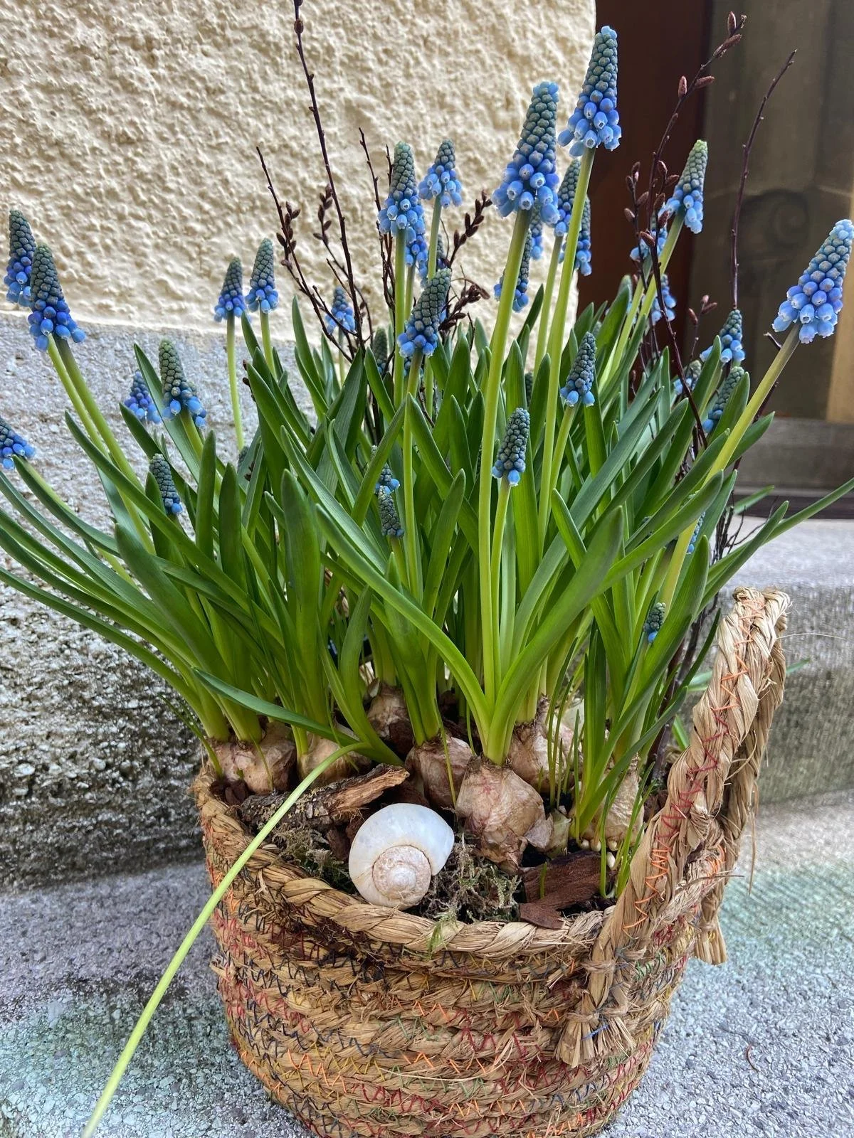 PHOTO-2026-03-20-09-28-38 4.jpg