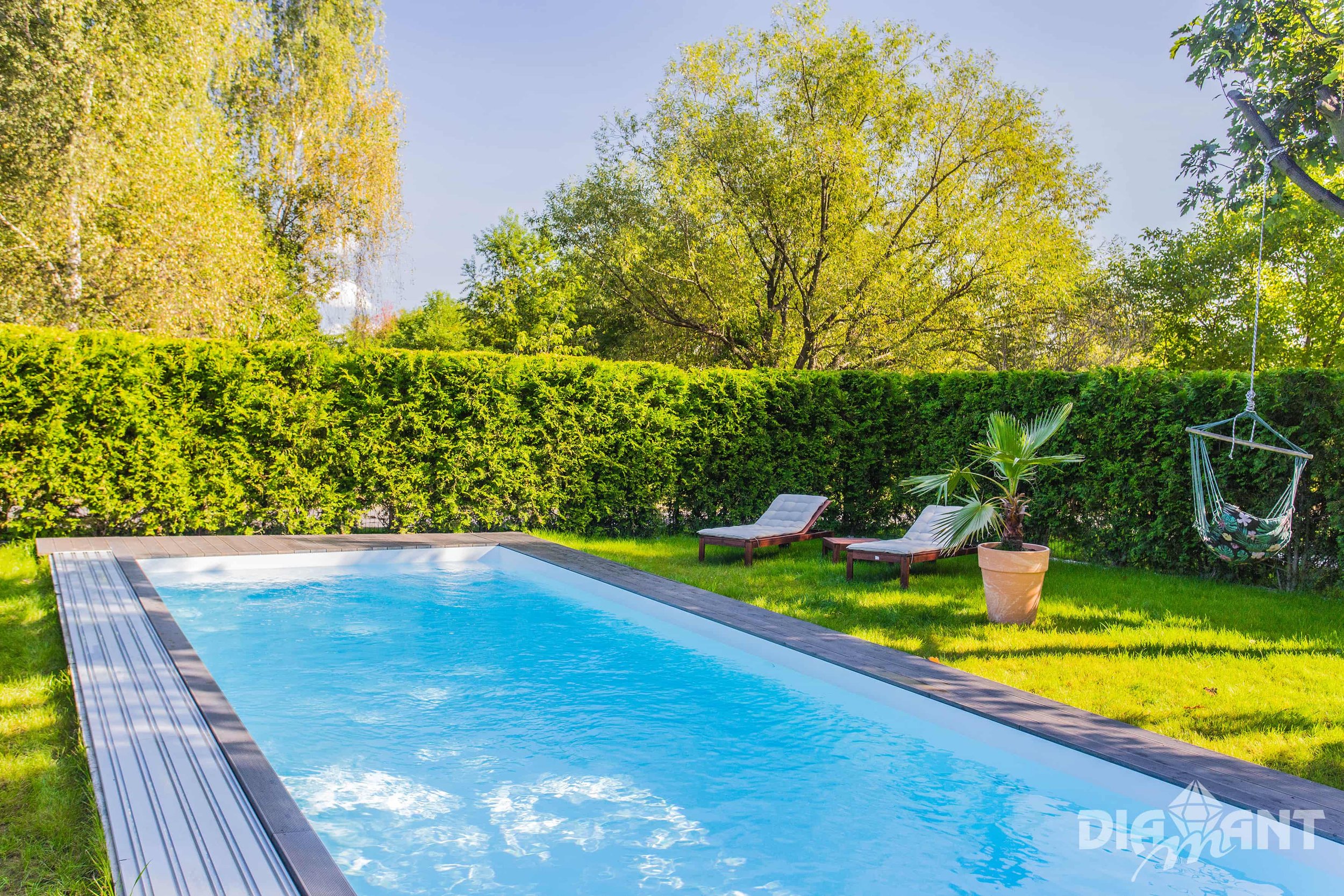 Backyard with an in-ground pool, two lounge chairs, a potted tree, and a hanging hammock chair, surrounded by green trees and hedge, on a sunny day.