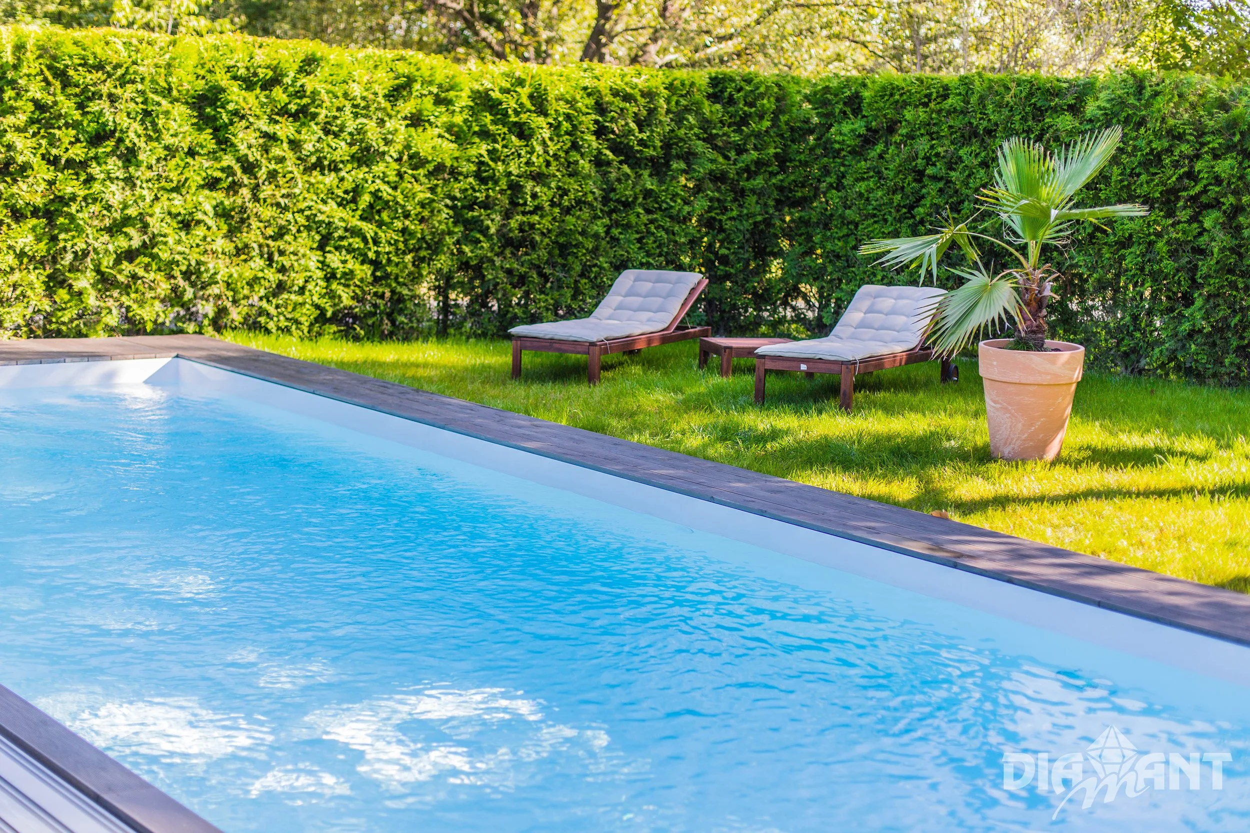 A backyard swimming pool with blue water, surrounded by a wooden deck and green grass. There are two lounge chairs with cushions, a small table, and a potted palm tree. A tall hedge provides privacy in the background.