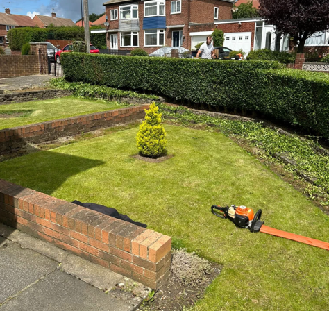 Hedge-cutting-garden-county-durham-clean2.png