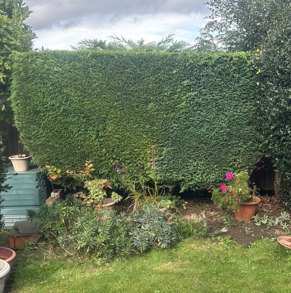 Hedge-cutting-garden-county-durham-affordable.png