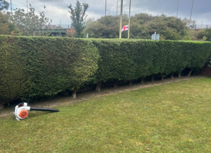 Hedge-cutting-garden-county-durham-clean8.png