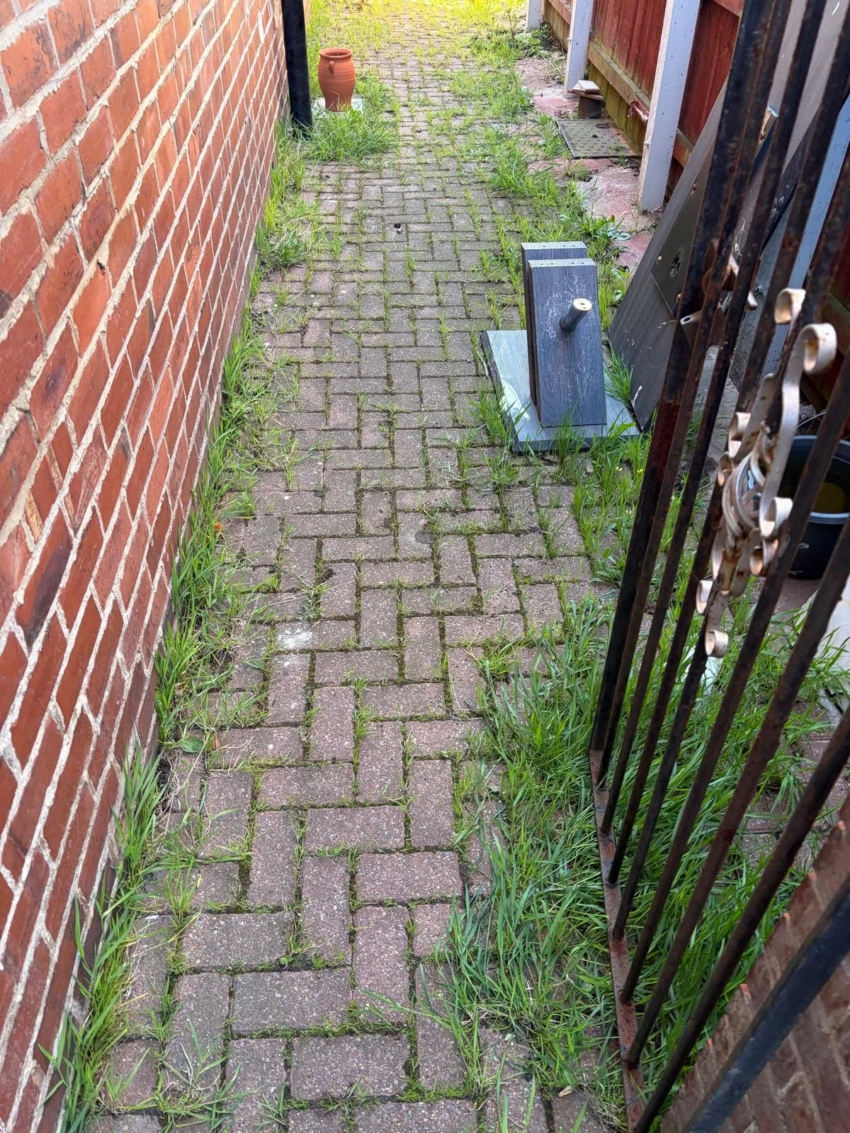 Primrose-landscaping-durham-near-me.jpeg