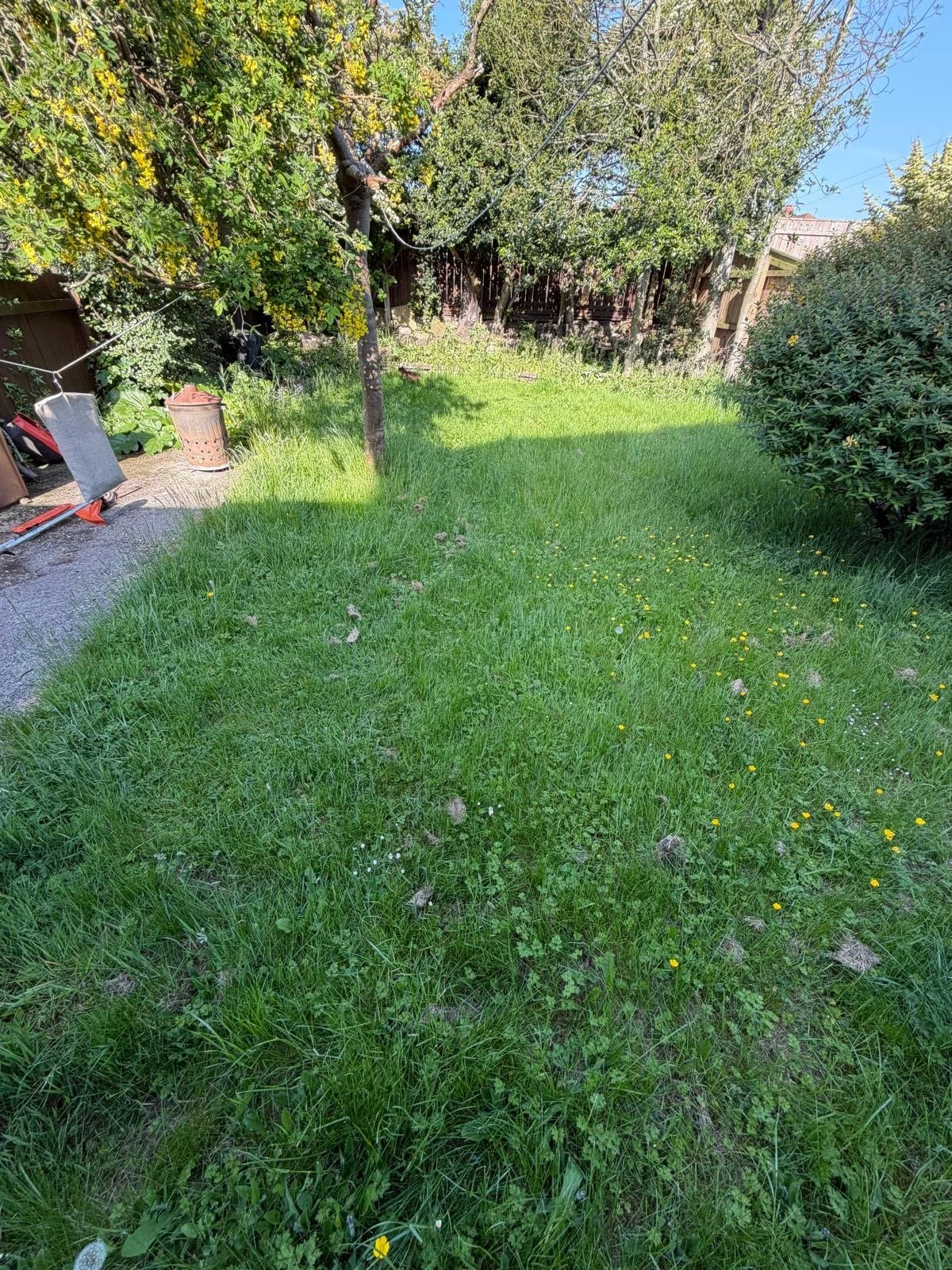 Durham-primrose-landscaping.jpeg