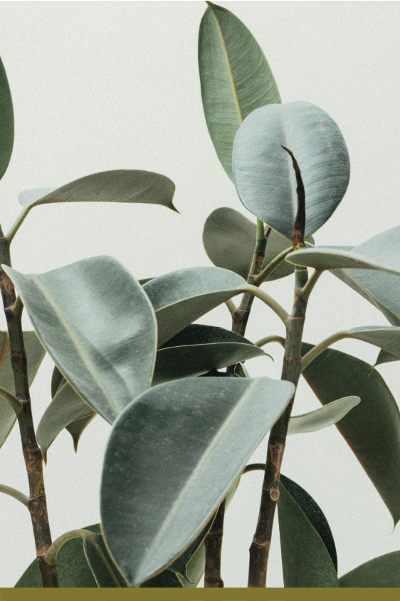 Understanding Homosexuality