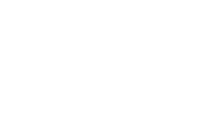 Logo+-+Daily+Signal.png