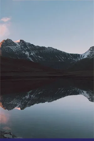 The Healing Environment