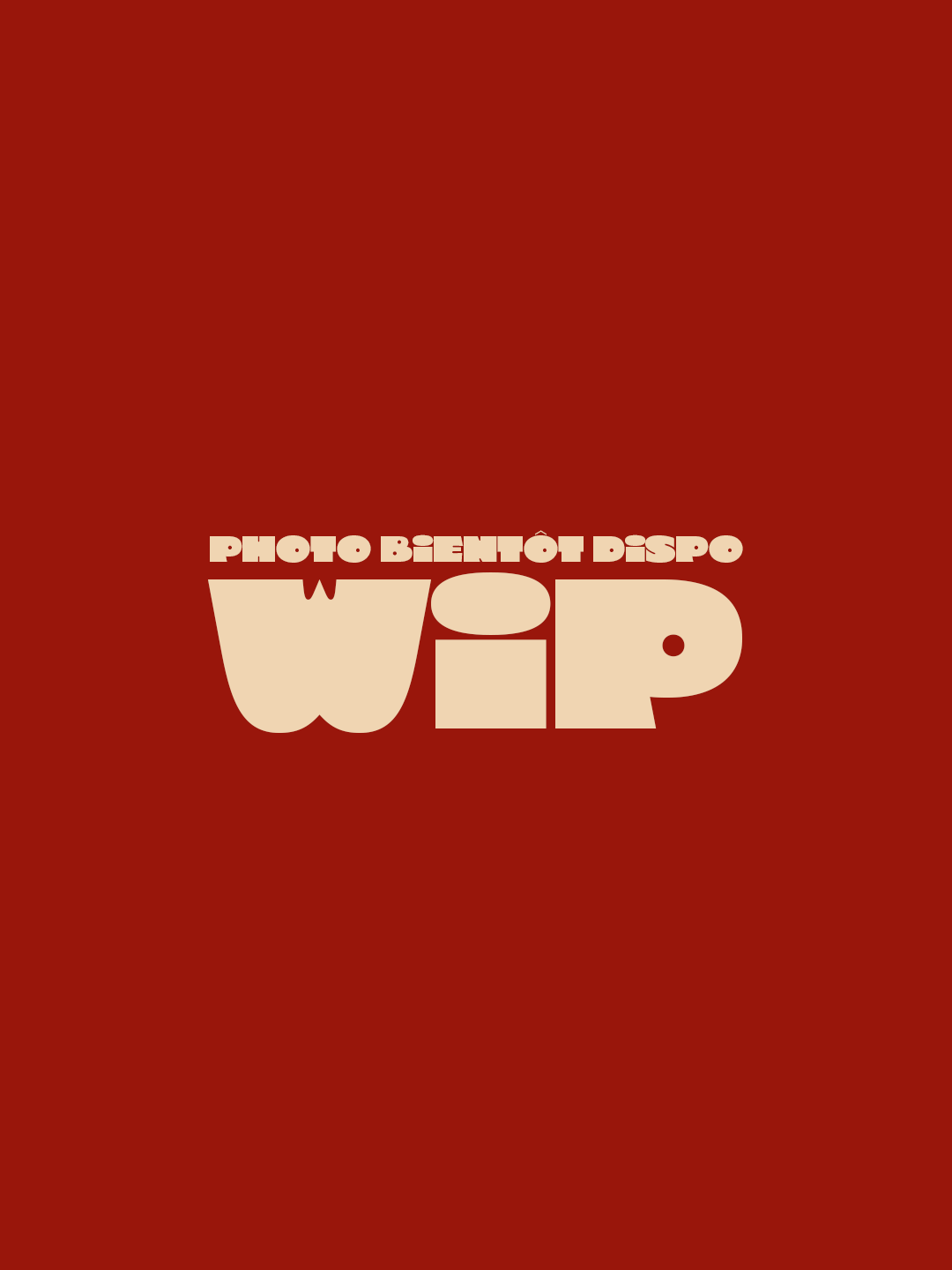 Visuel avec un fond rouge, logo de WIP en gros caractères beige clair, avec le texte 'Photo bientôt dispo' au-dessus.