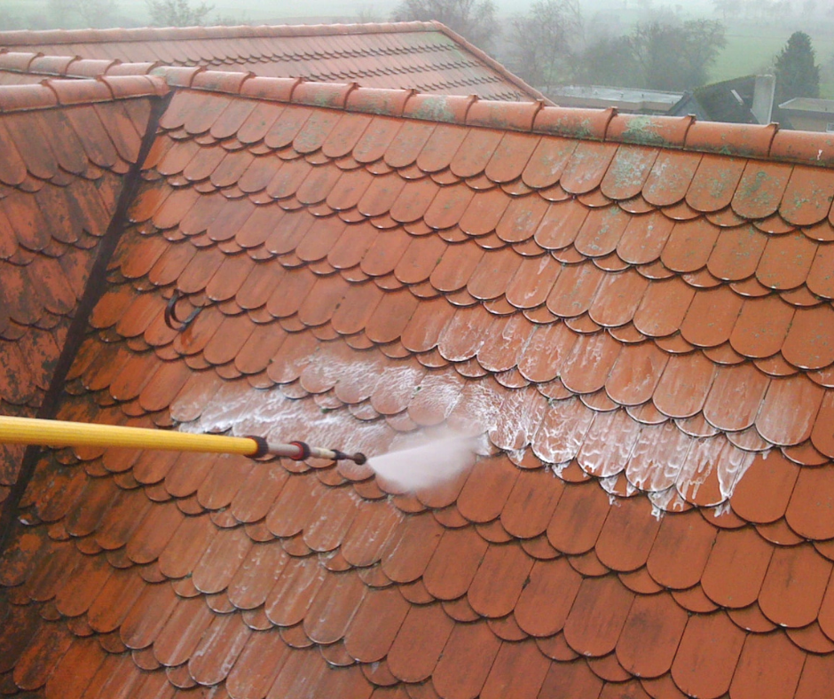 Roof Cleaning