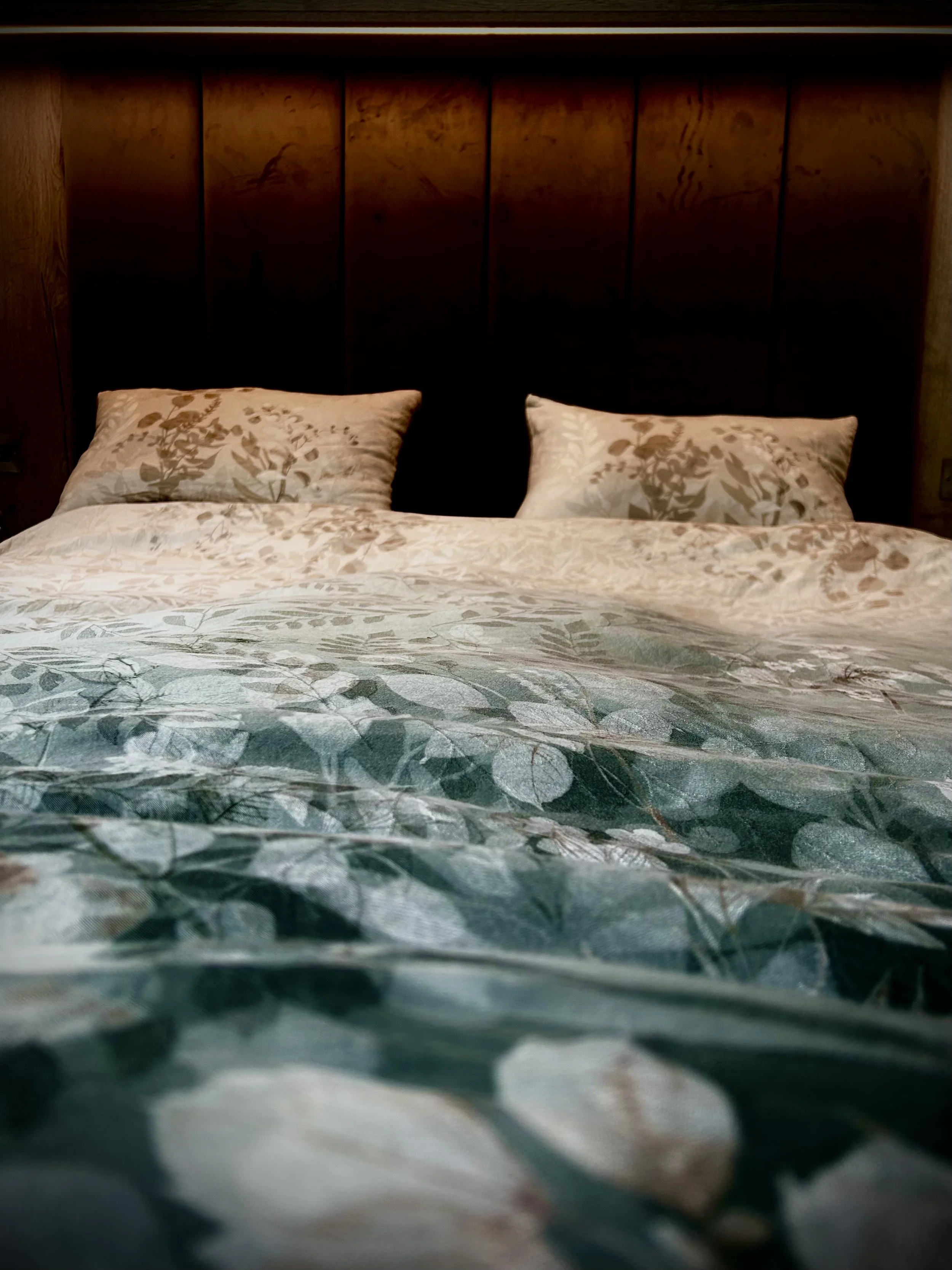 The Sleep We Stole From Ourselves