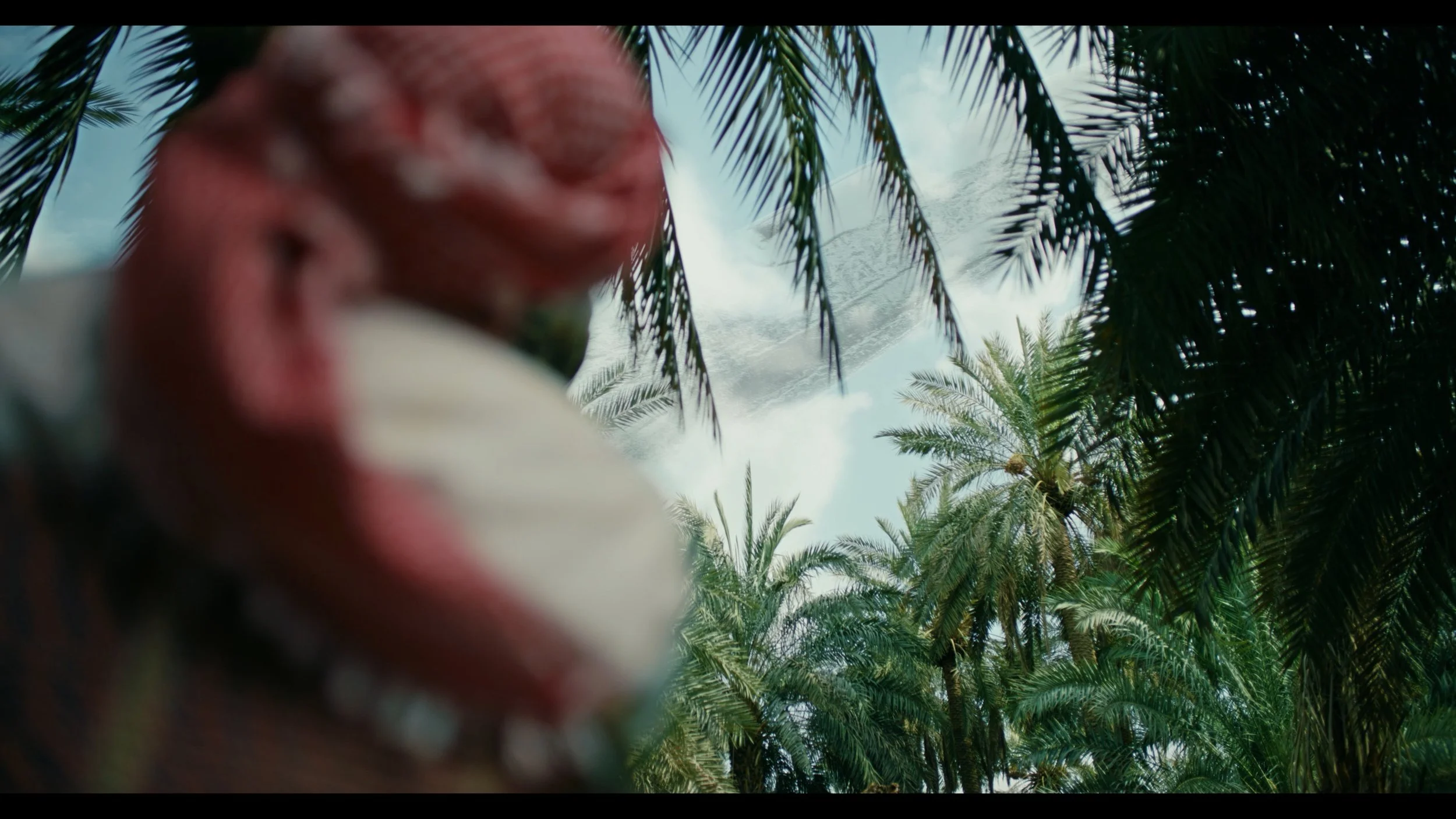 Blurred person with palm trees and a partly cloudy sky in the background.