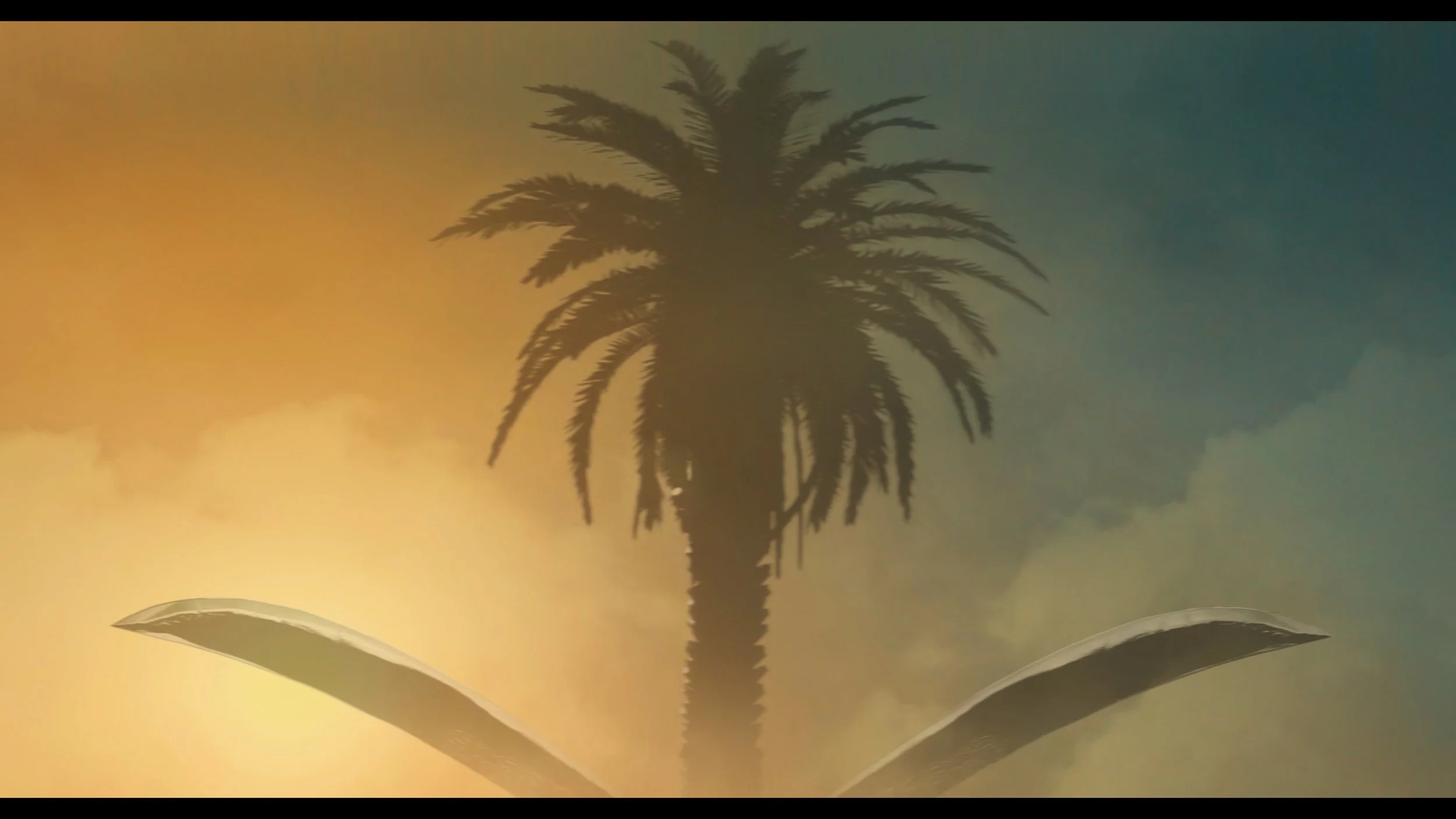 Silhouette of a palm tree with a sunset sky in the background