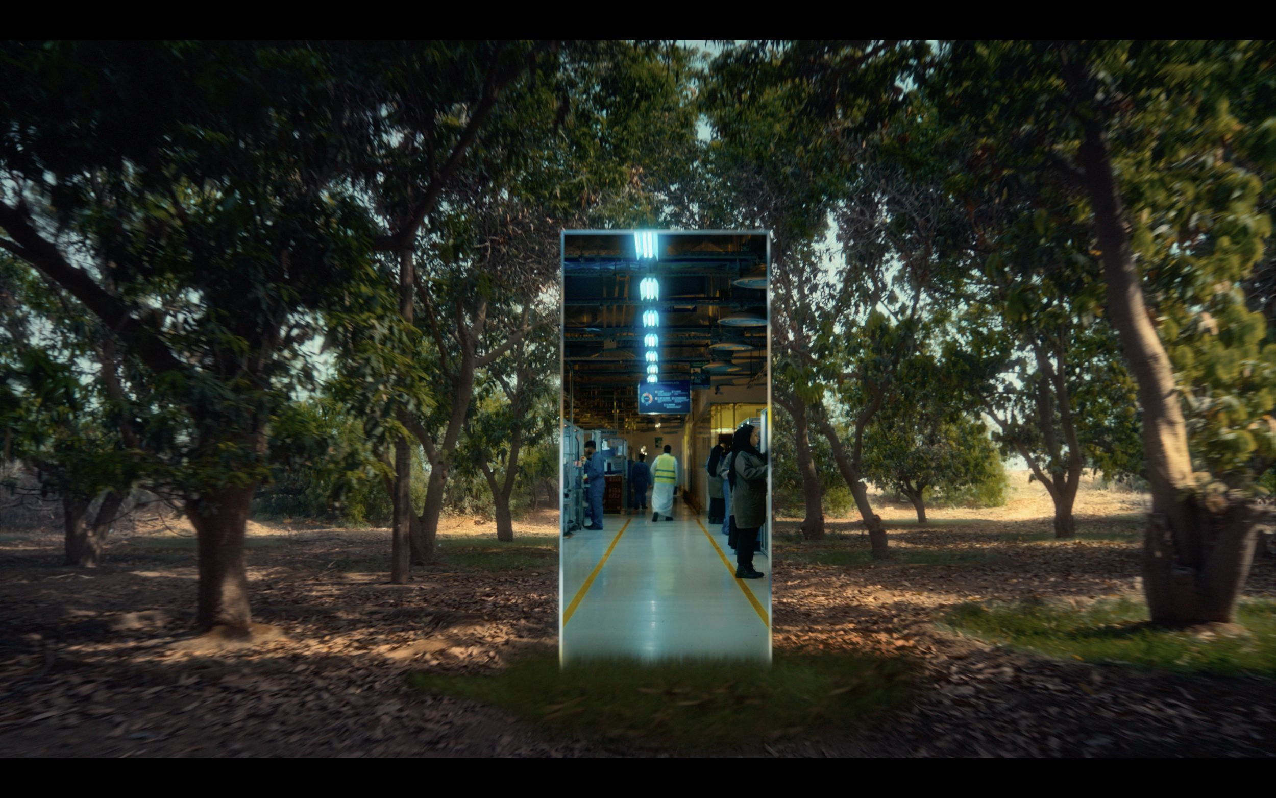 A mirror reflects a factory interior with people working, inside a forest with trees and sunlight outside.