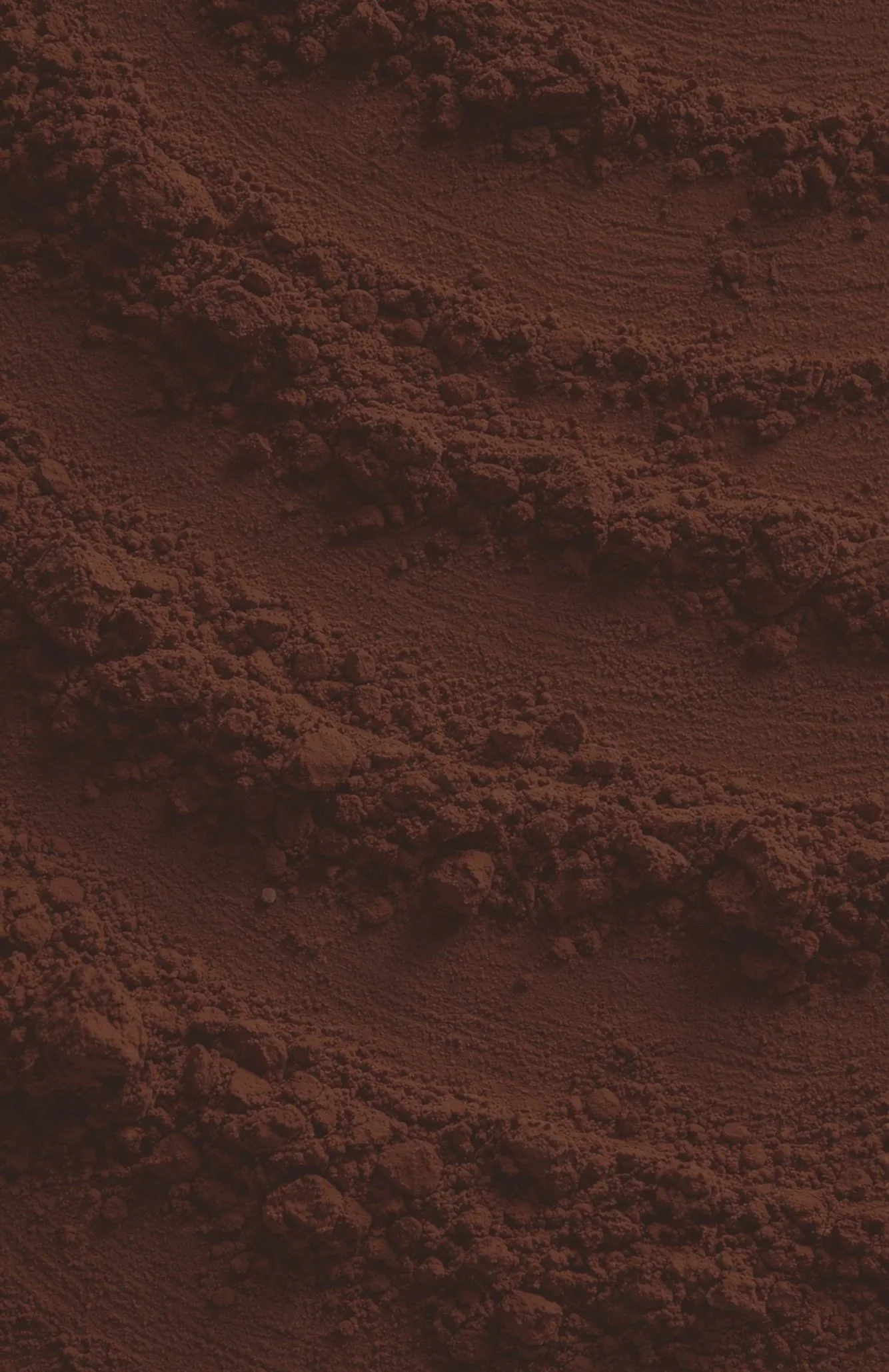 Close-up of reddish-brown powdered material, possibly clay or soil, with textured, uneven surface and scattered clumps.
