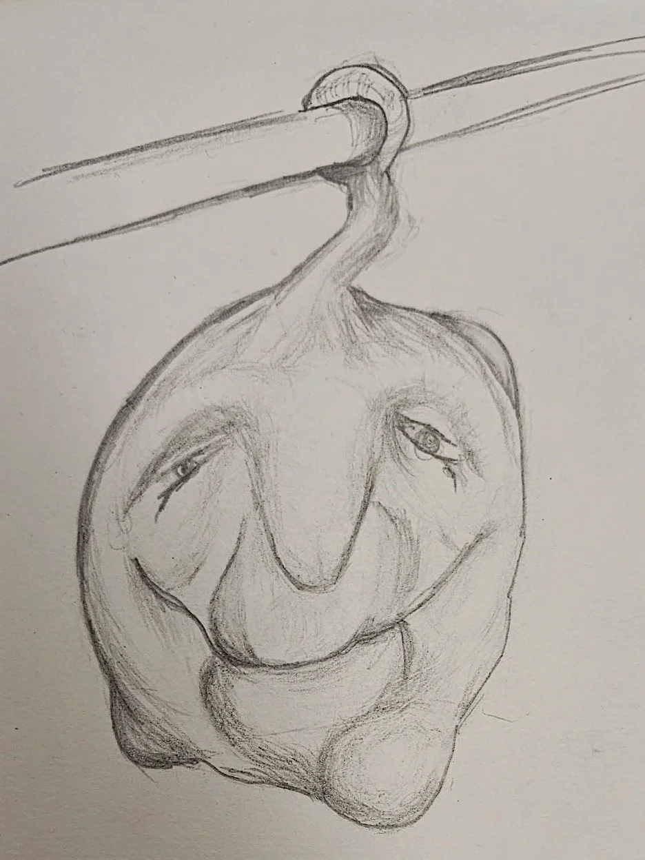 Meat Fruits