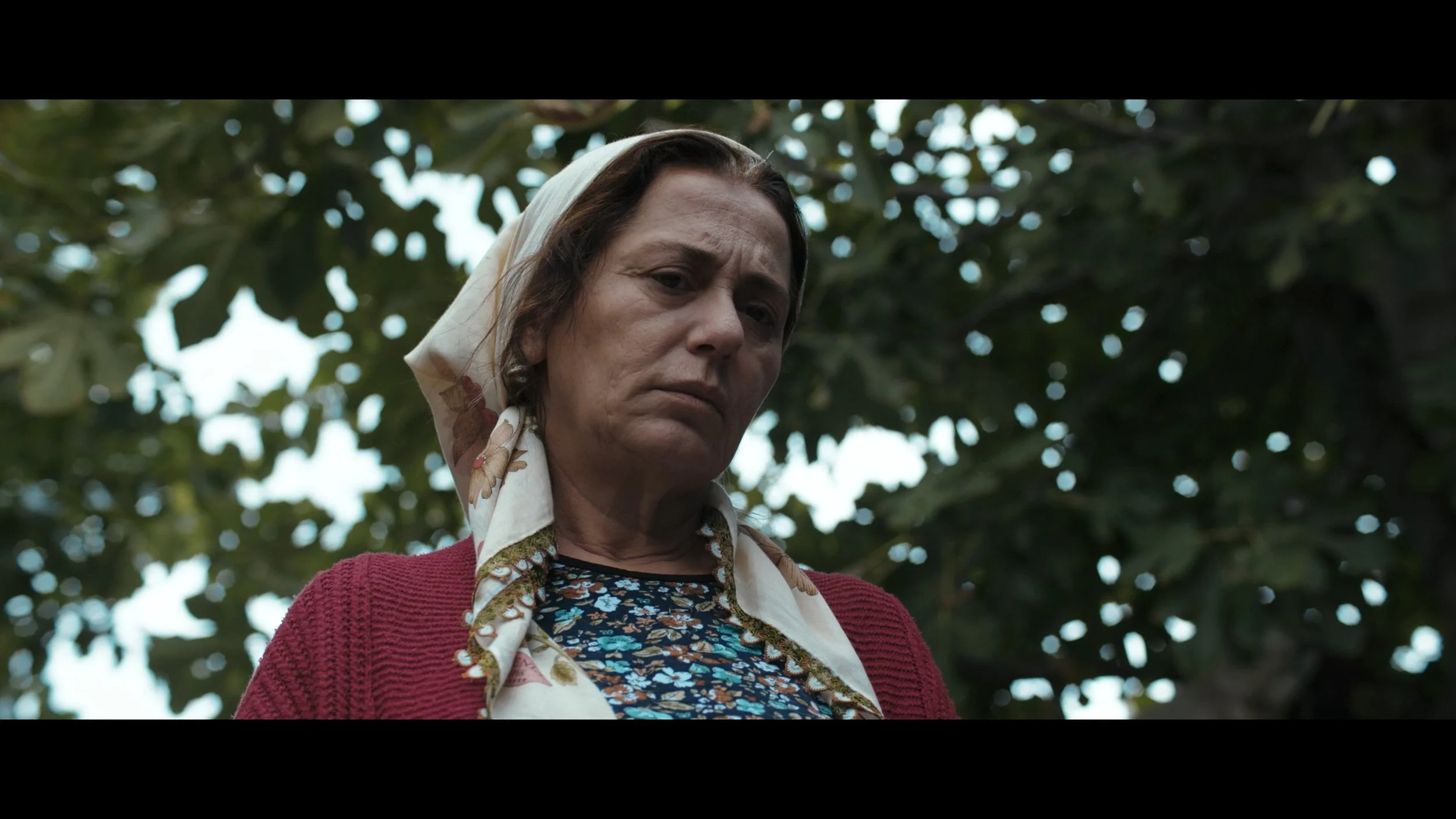 Still 2026-03-03 155727_1.1.9.jpg