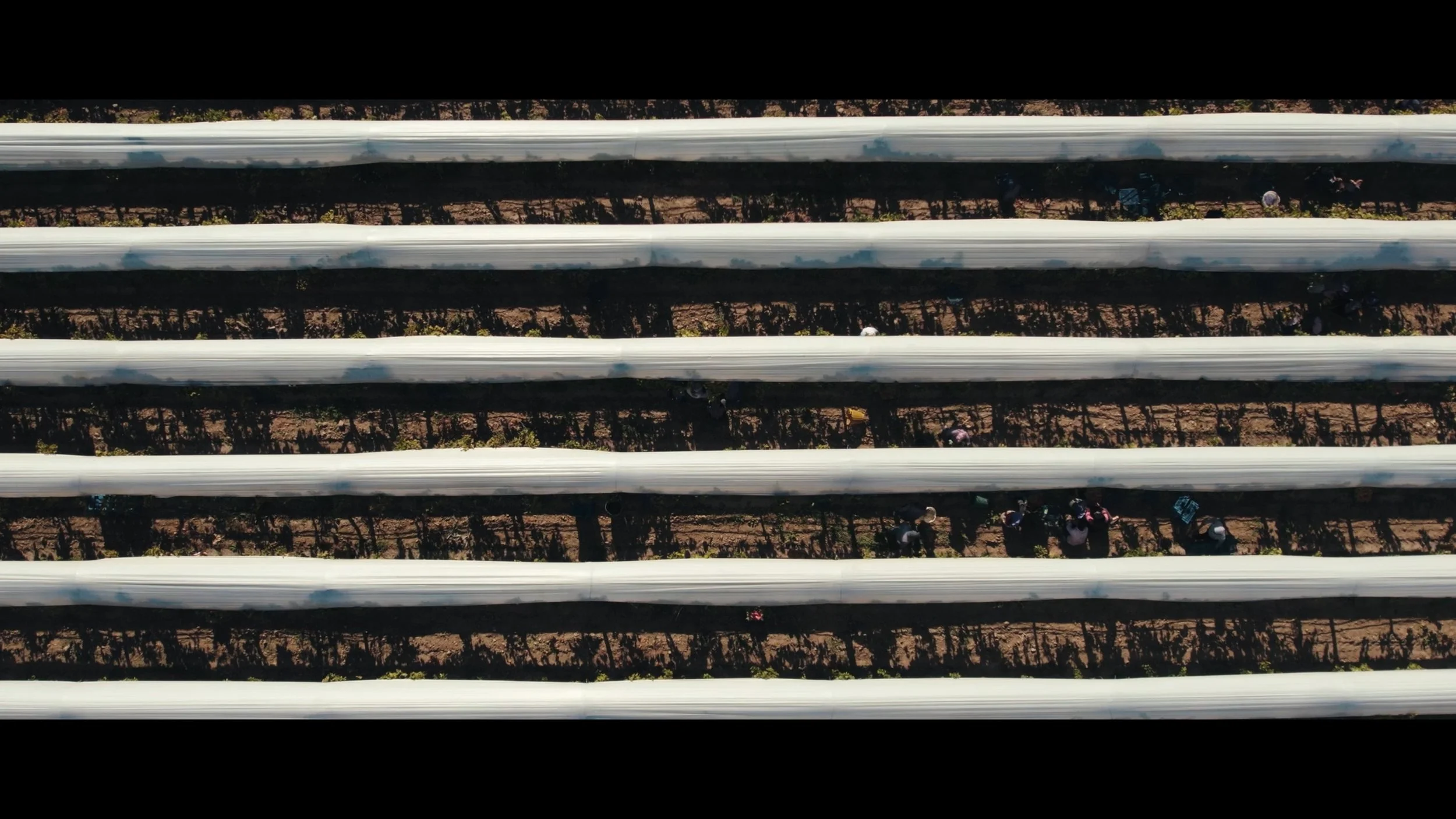 Still 2026-03-03 155727_1.1.44.jpg