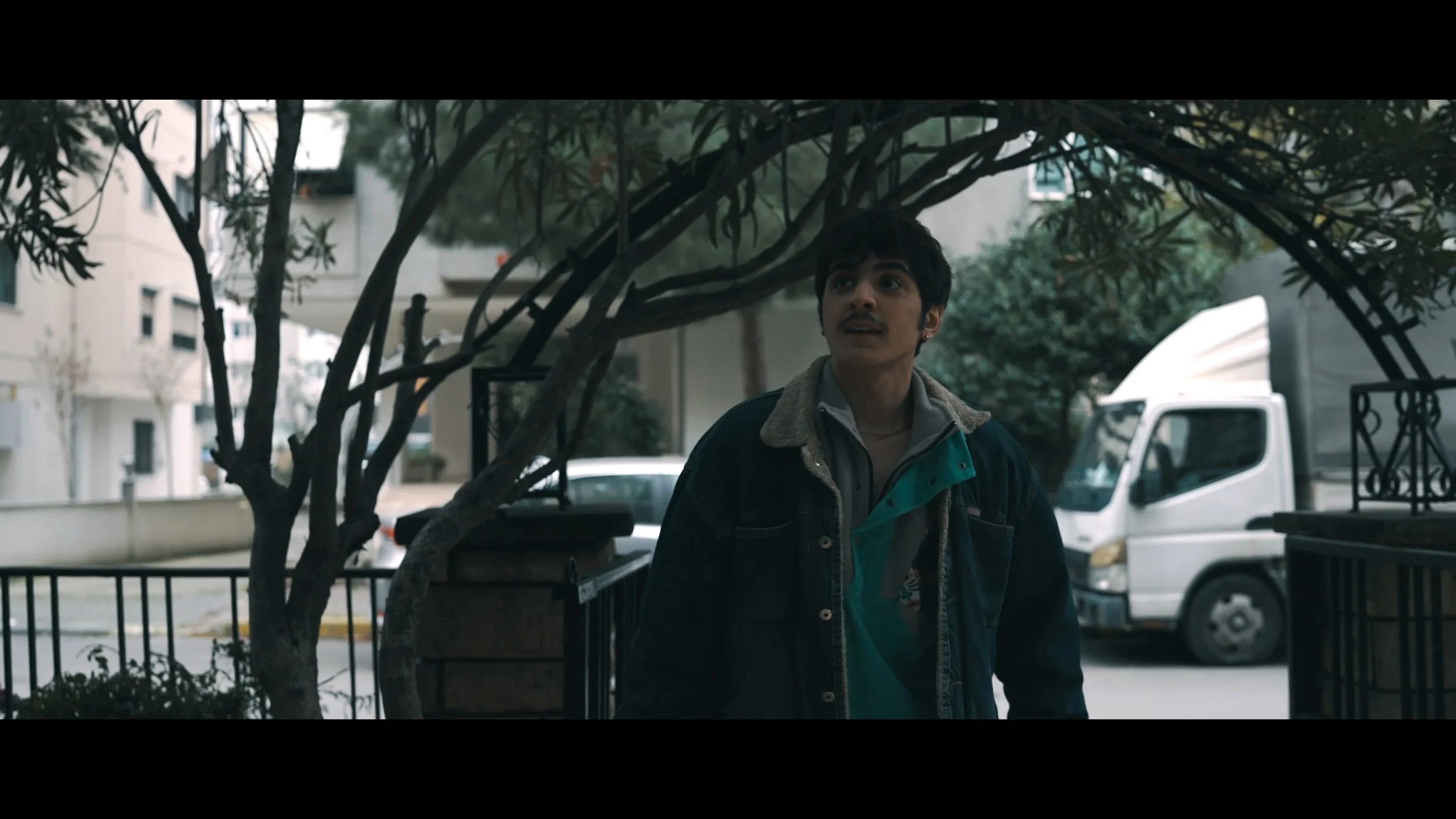 Still 2026-03-03 162653_1.1.5.jpg